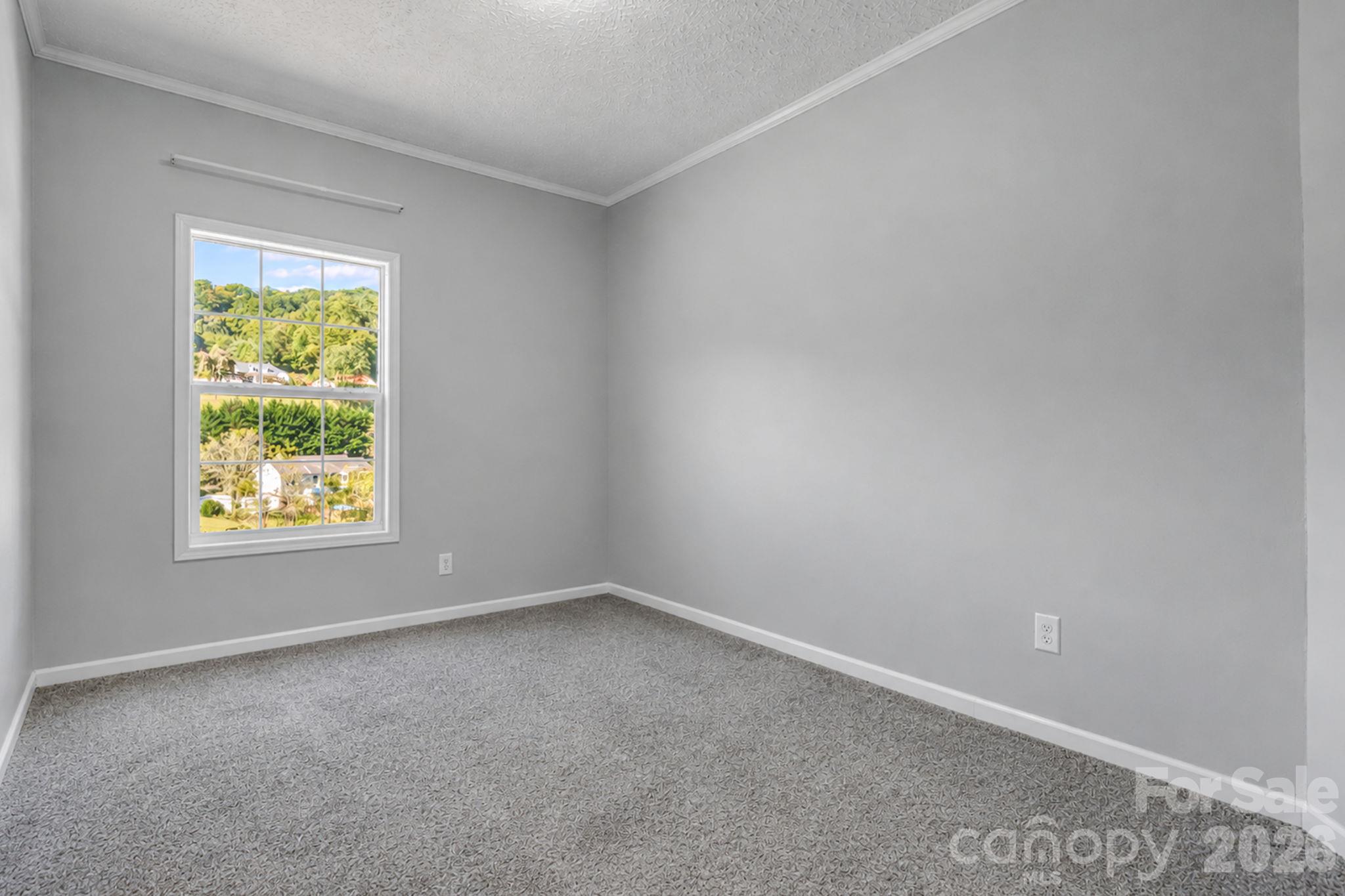 Single Family Residence at 245 Potato Branch Road, Leicester, photo 15 of 35