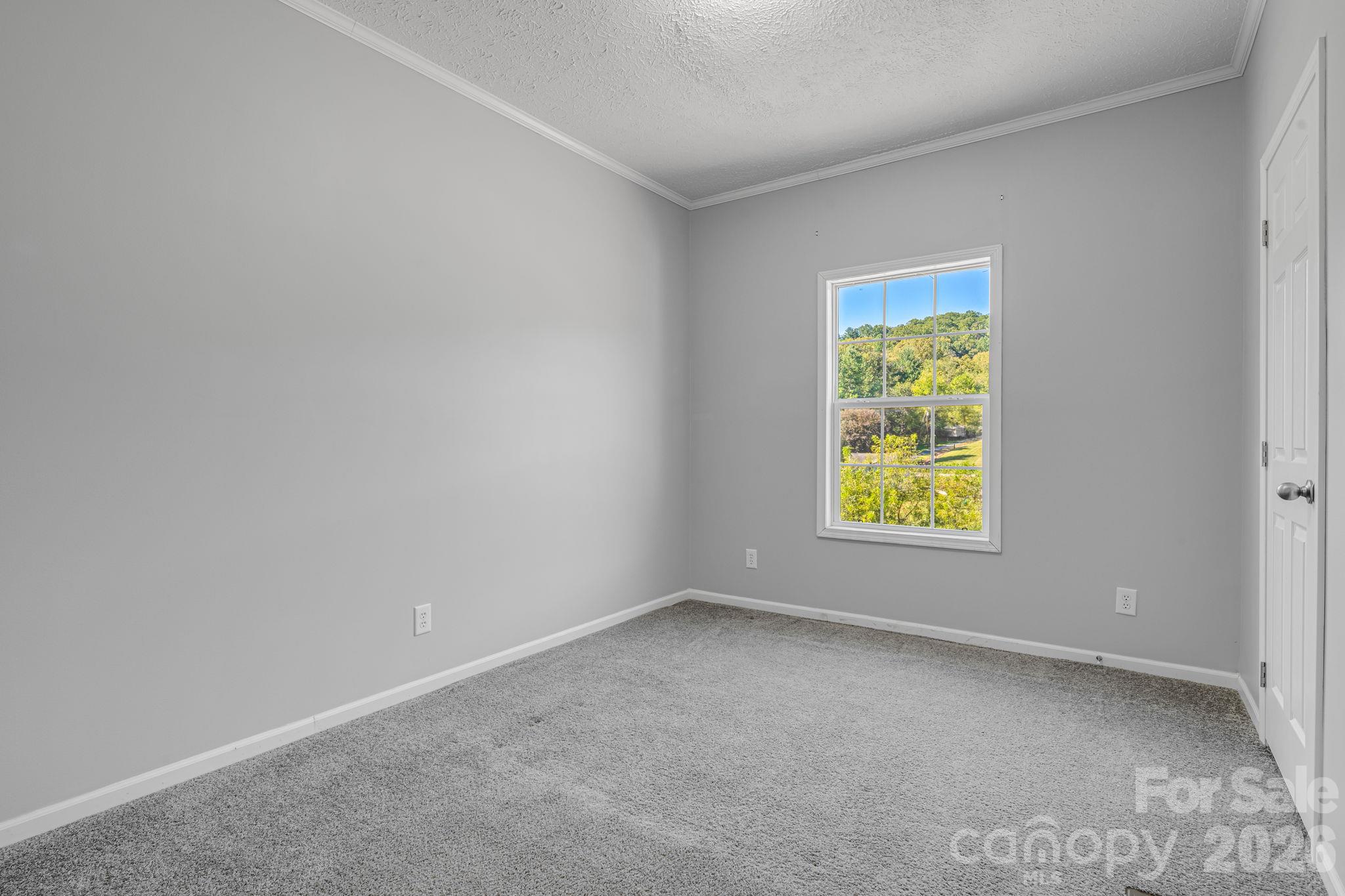 Single Family Residence at 245 Potato Branch Road, Leicester, photo 16 of 35