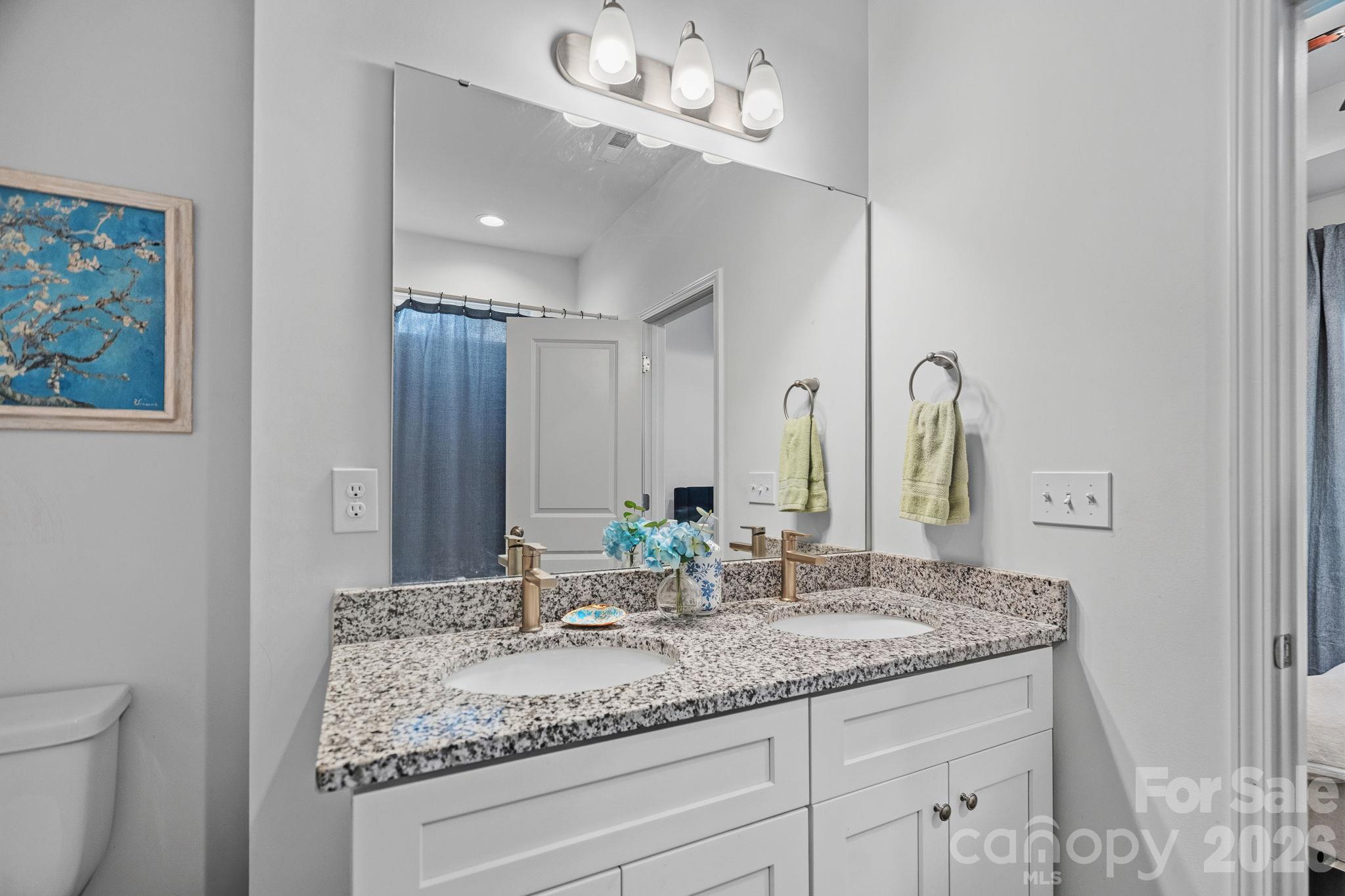 Primary bathroom with linen closet - 521 Porter Street, Charlotte