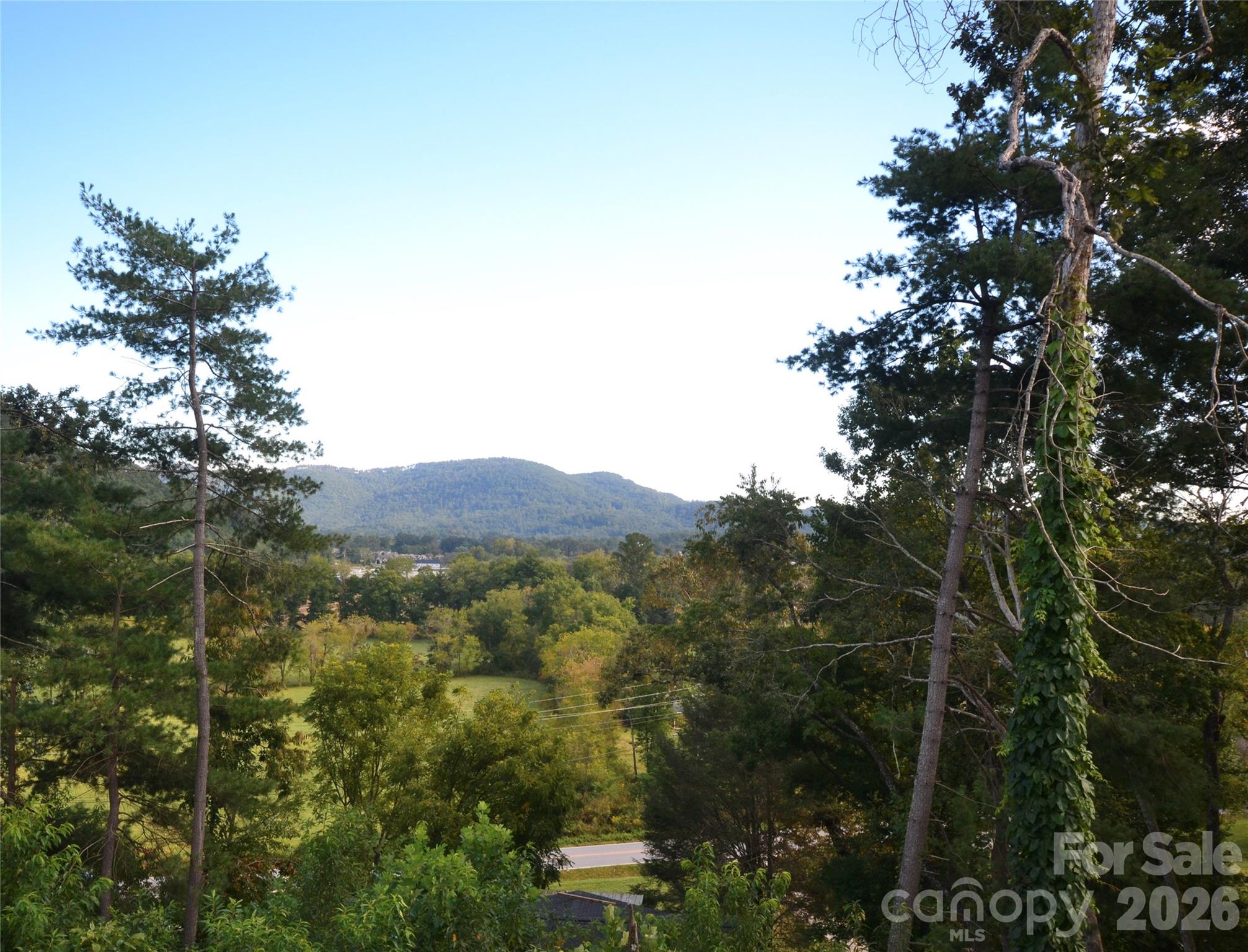Single Family Residence at 6 Mountain Oaks Drive, Fletcher, photo 12 of 42