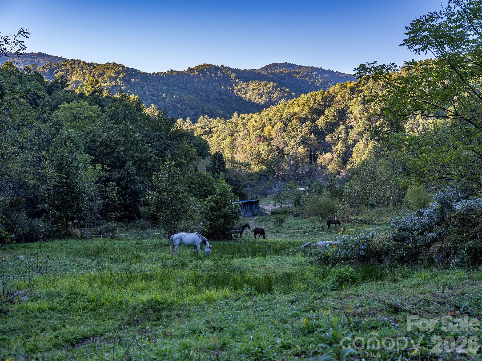 Pastures up above the tobacco barn. - 1102 Price Town Road, Clyde