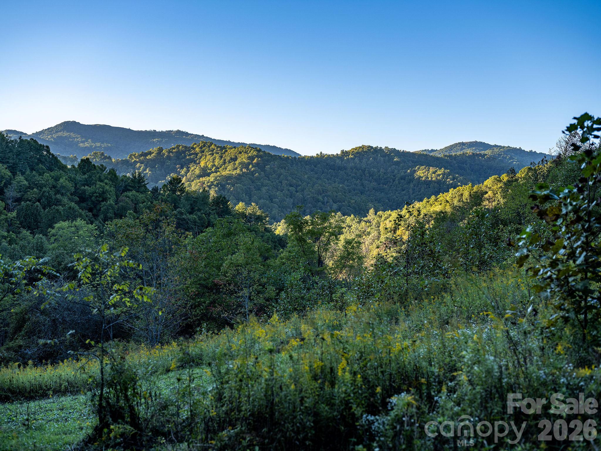 Your own little paradise. - 1102 Price Town Road, Clyde
