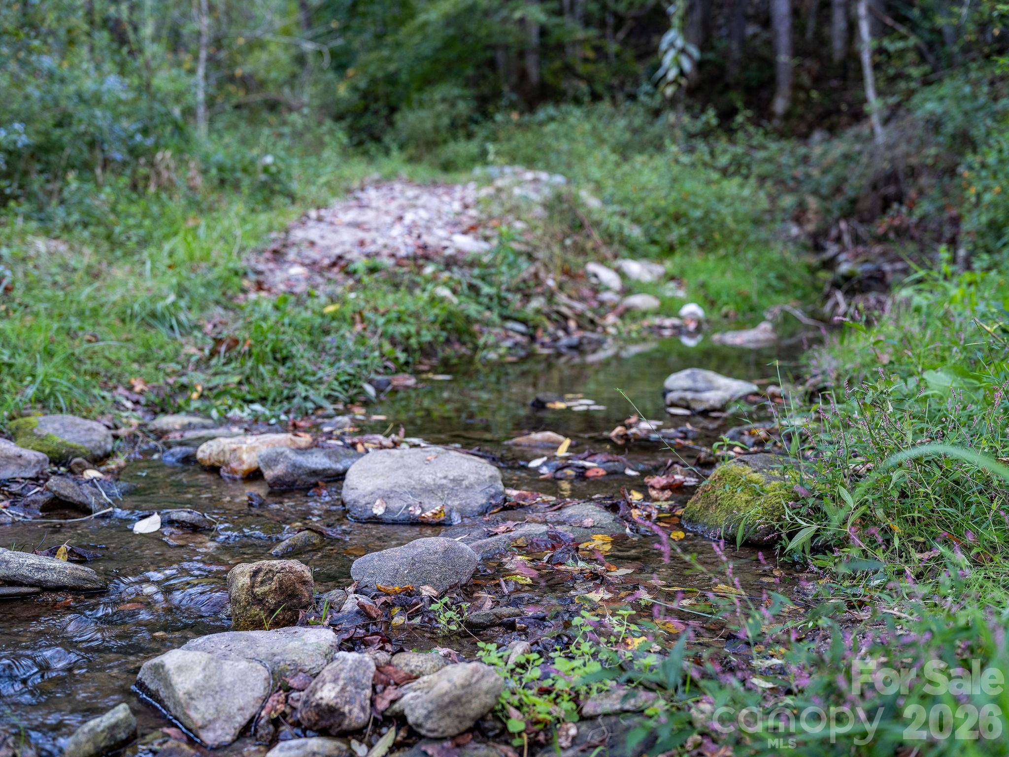 The creek between the house and the pasture on Turkey Creek Rd. - 1102 Price Town Road, Clyde