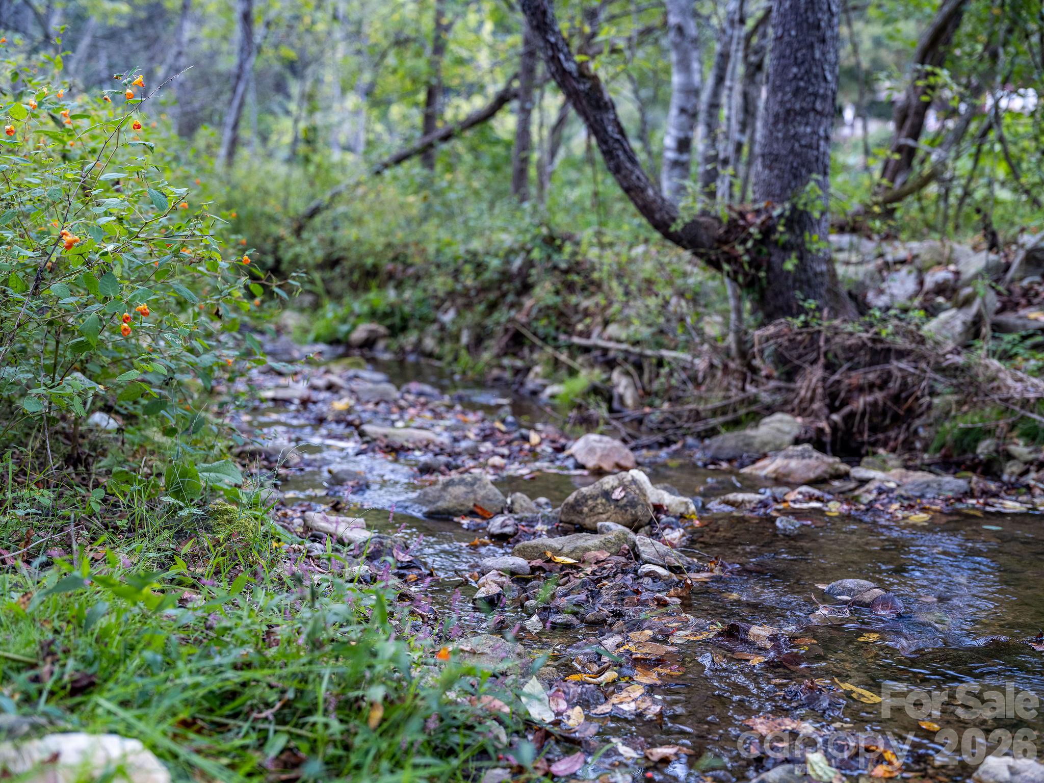 Another angle of the same creek. - 1102 Price Town Road, Clyde