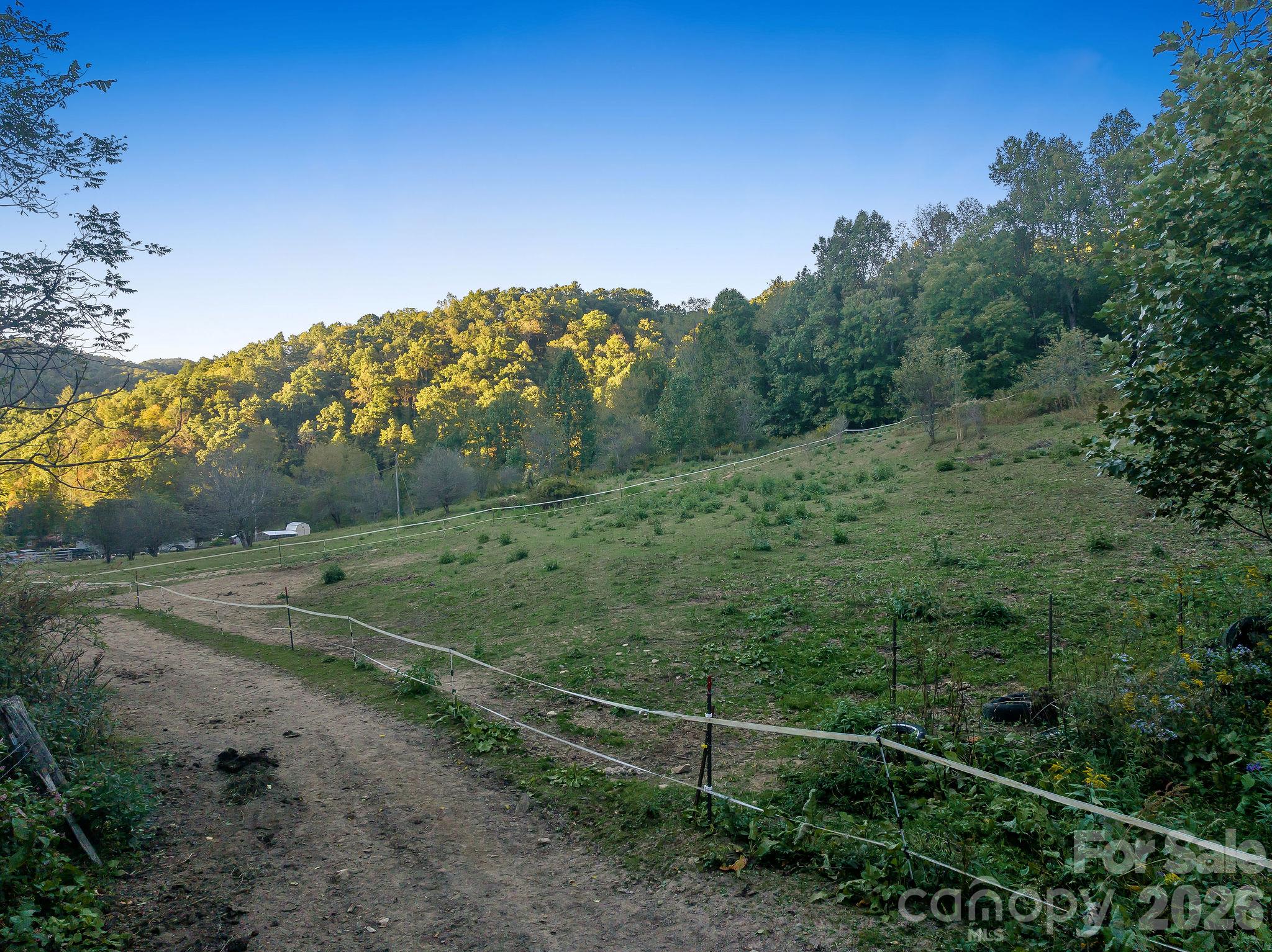 Standing at the tobacco barn and looking towards the house, fenced pastures on the right. - 1102 Price Town Road, Clyde