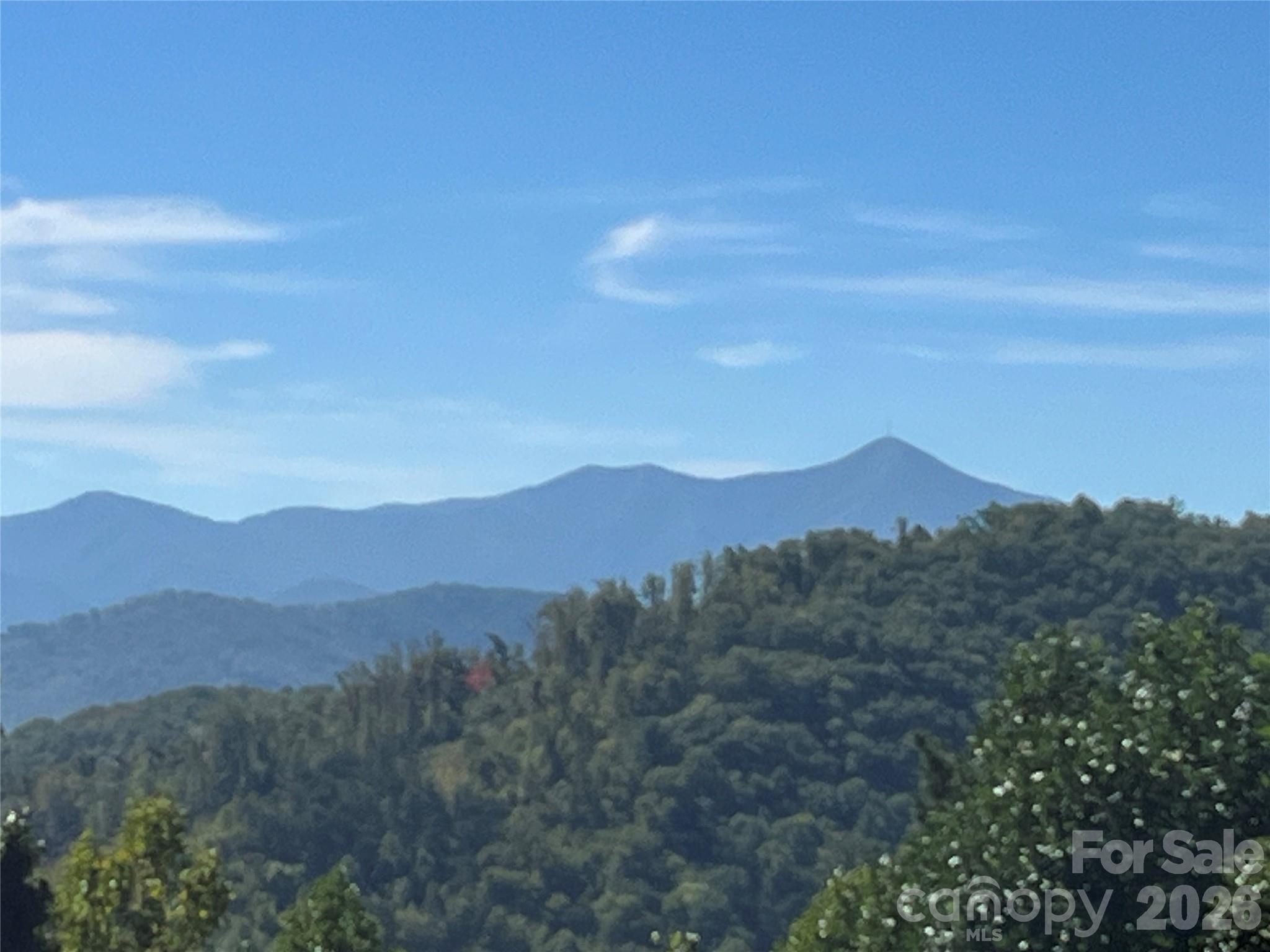 Mount Pisgah in the distance - 121 Hidden Meadow Drive, Candler