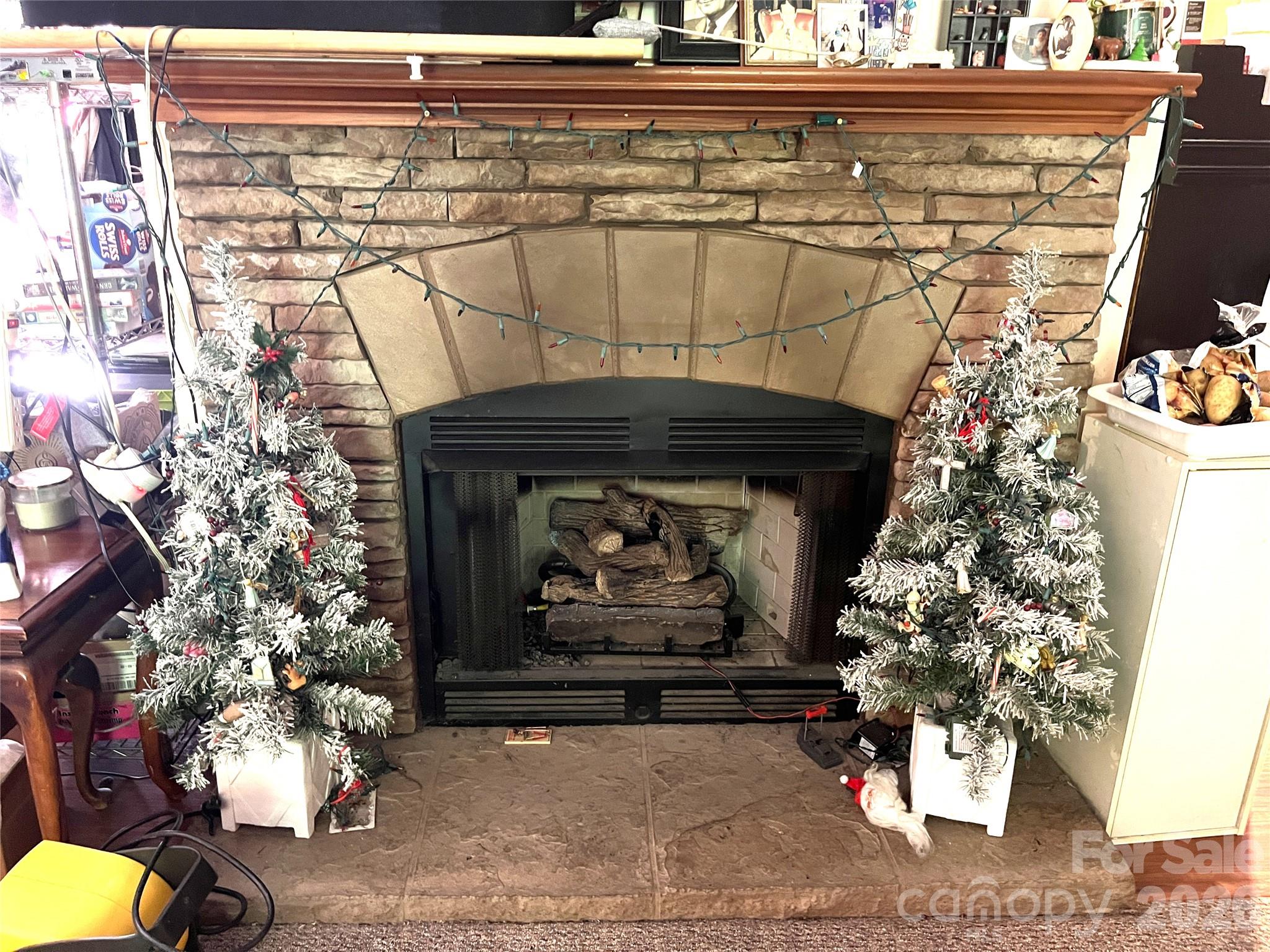Fireplace in Living room - 121 Hidden Meadow Drive, Candler