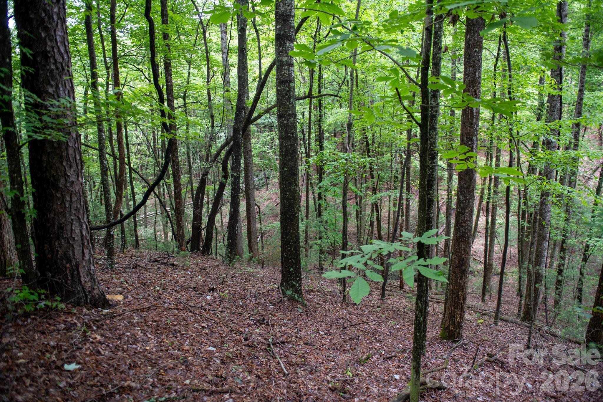 Acreage at 0000 Wheel Team Trail, McGrady, photo 3 of 48