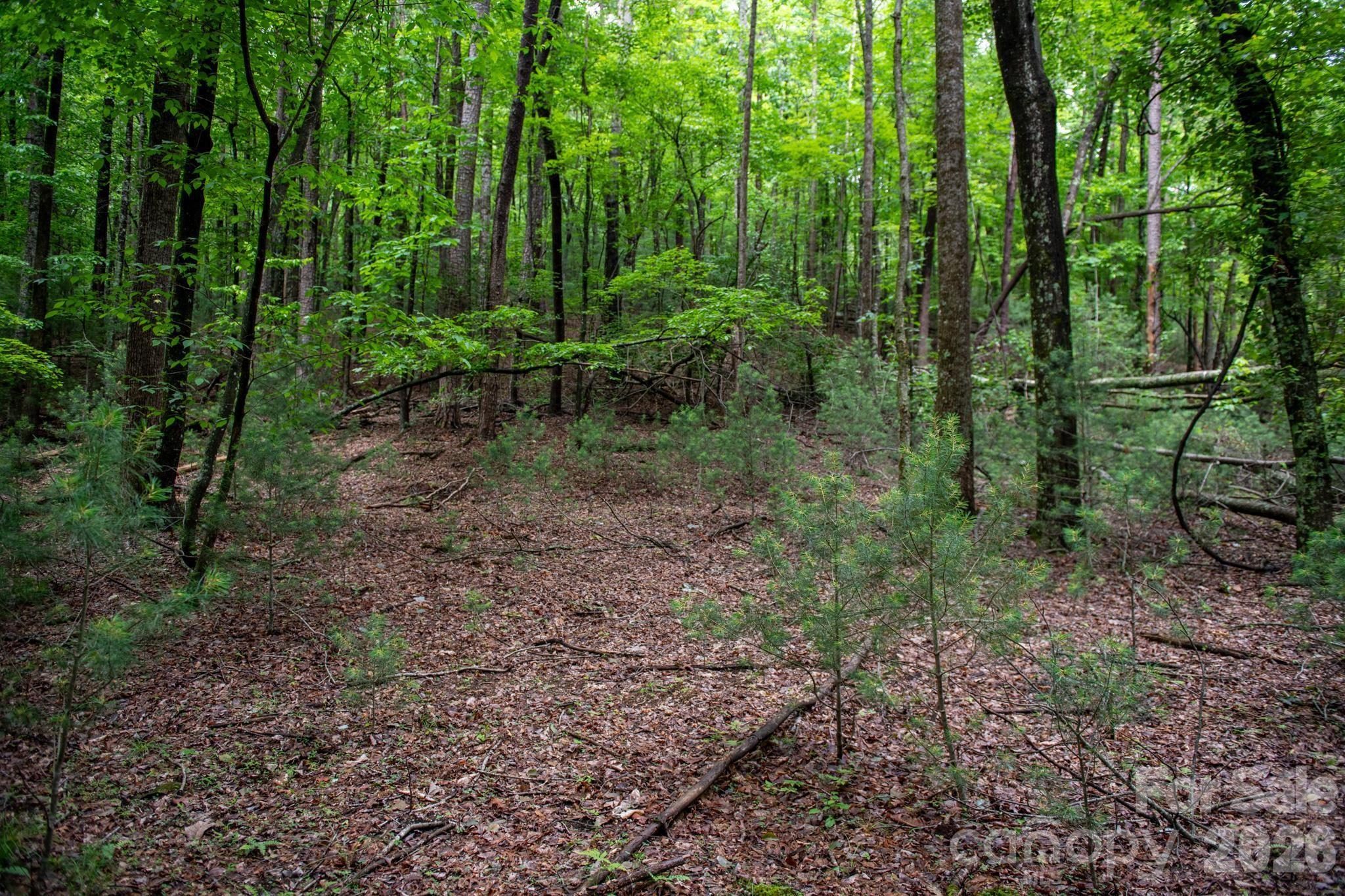 Acreage at 0000 Wheel Team Trail, McGrady, photo 6 of 48