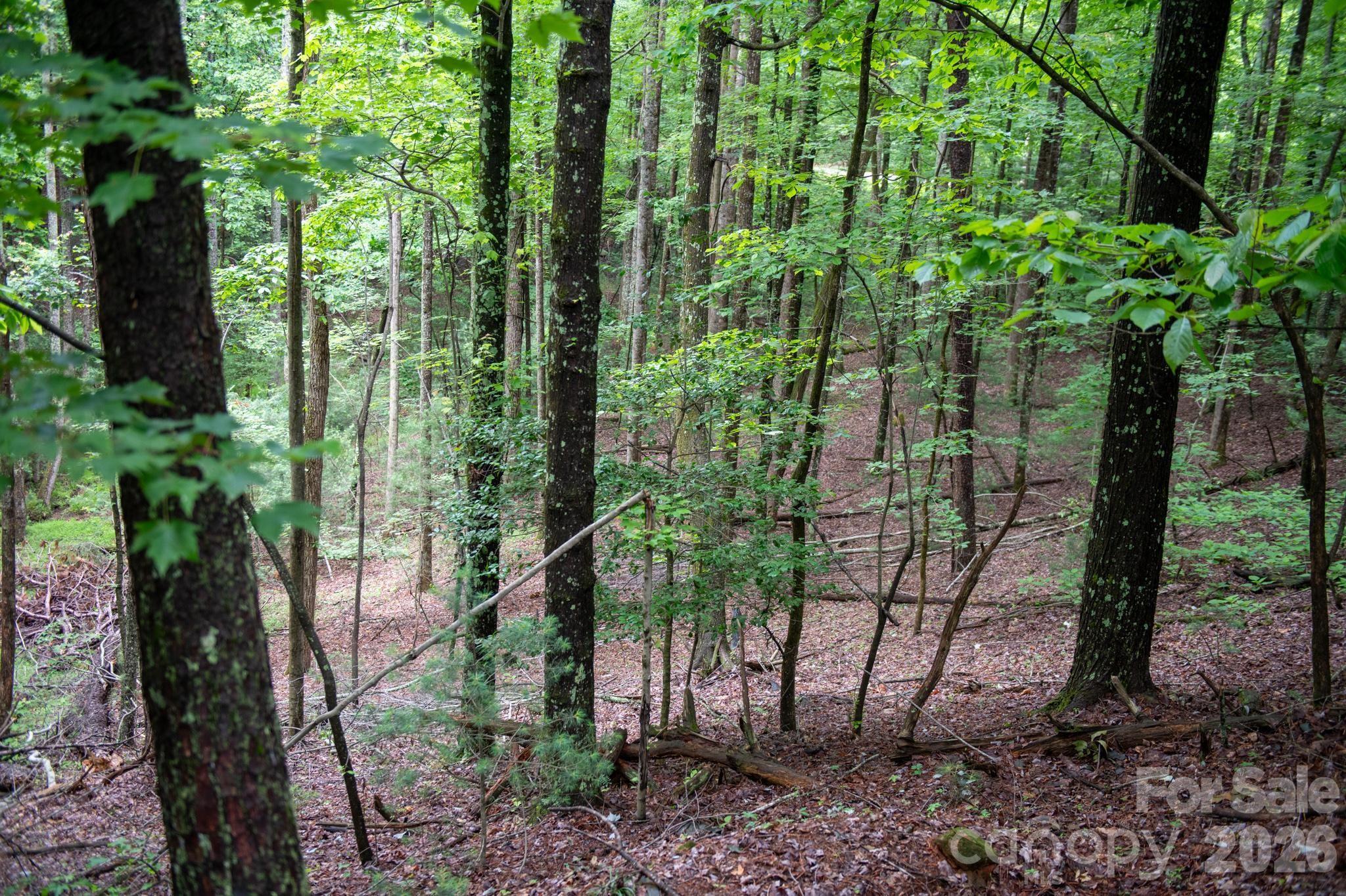 Acreage at 0000 Wheel Team Trail, McGrady, photo 7 of 48