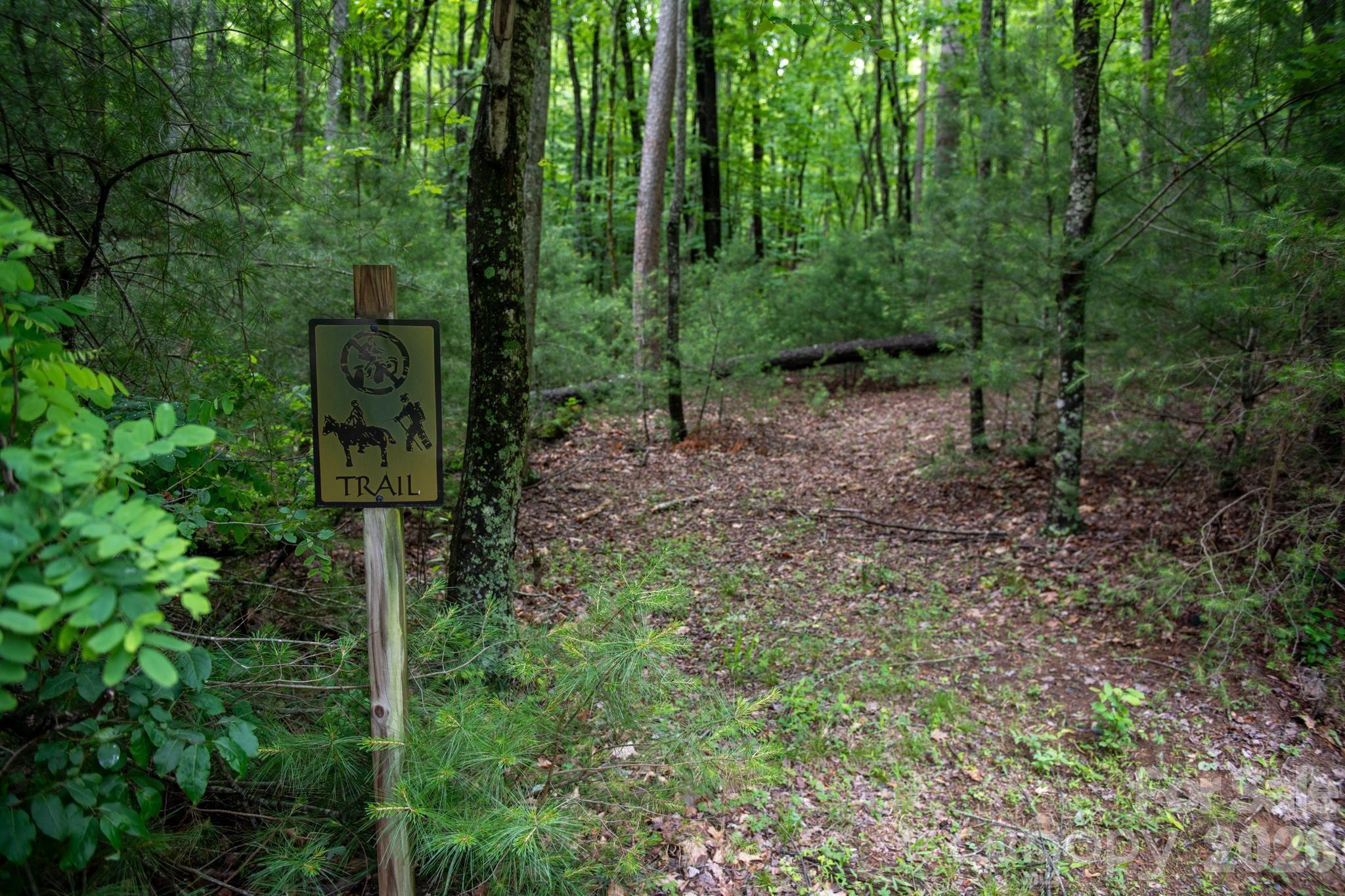 Acreage at 0000 Wheel Team Trail, McGrady, photo 9 of 48