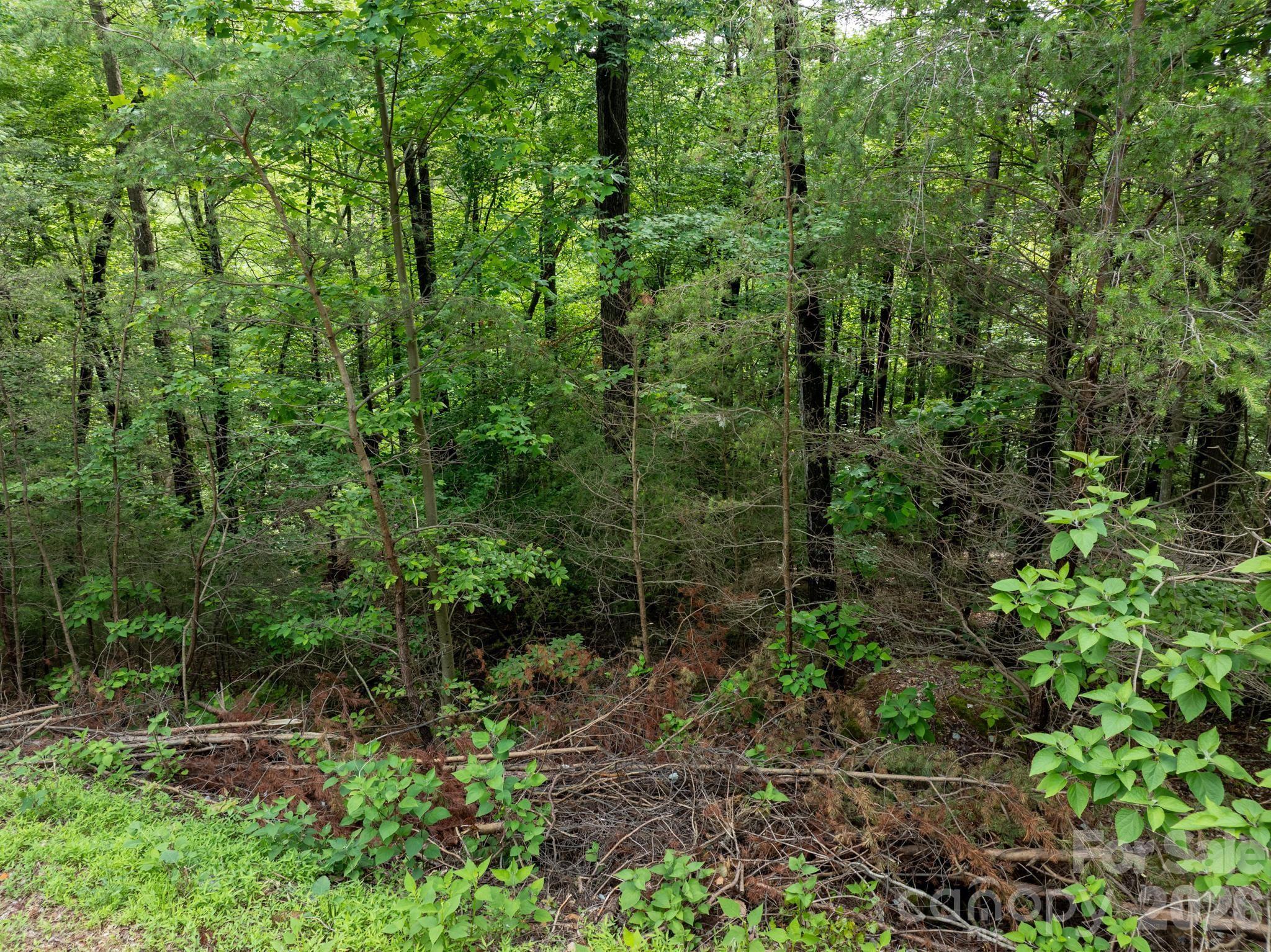 Acreage at 0000 Wheel Team Trail, McGrady, photo 31 of 48