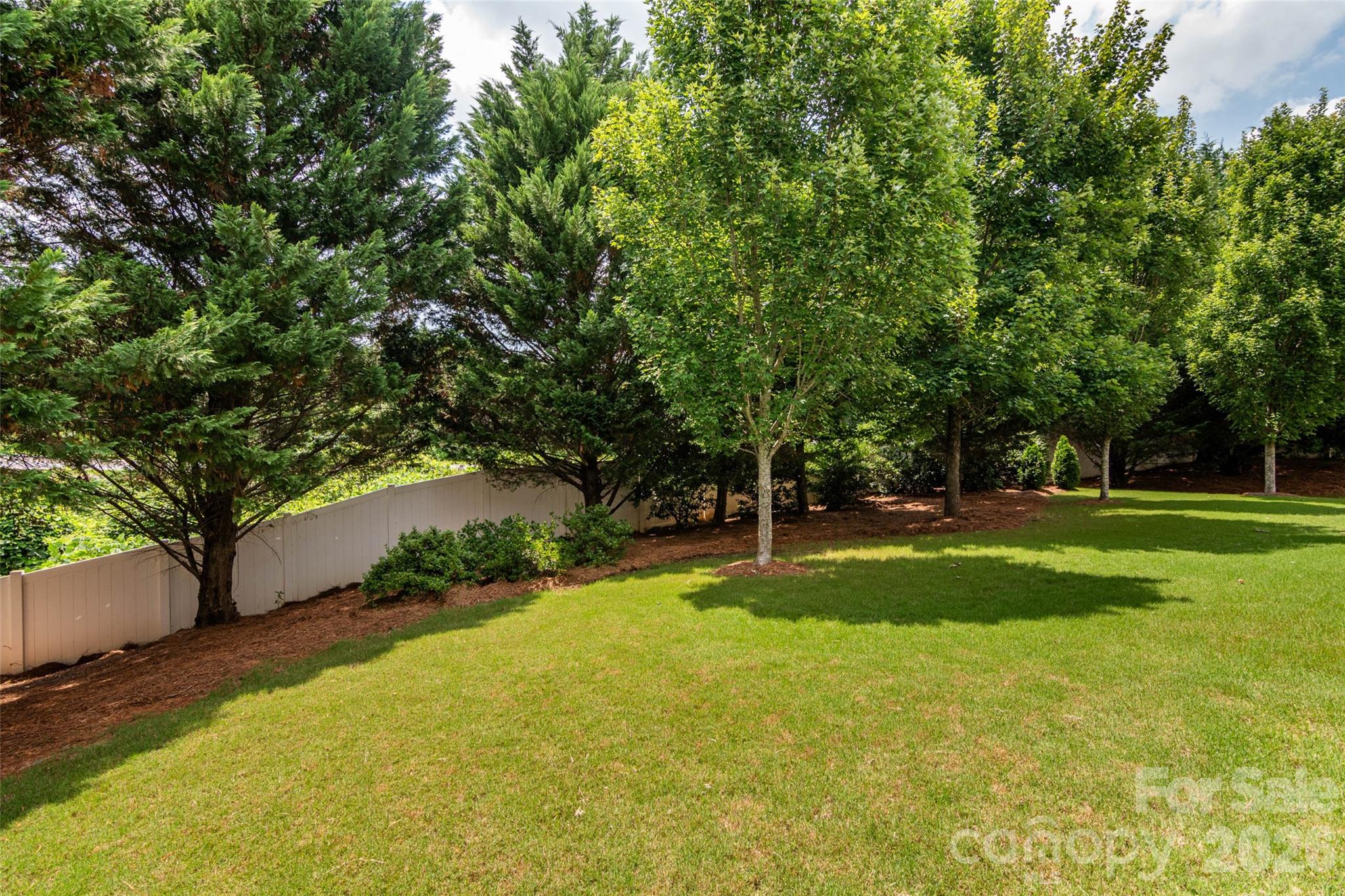 Backyard - 576 Becker Avenue, Fort Mill
