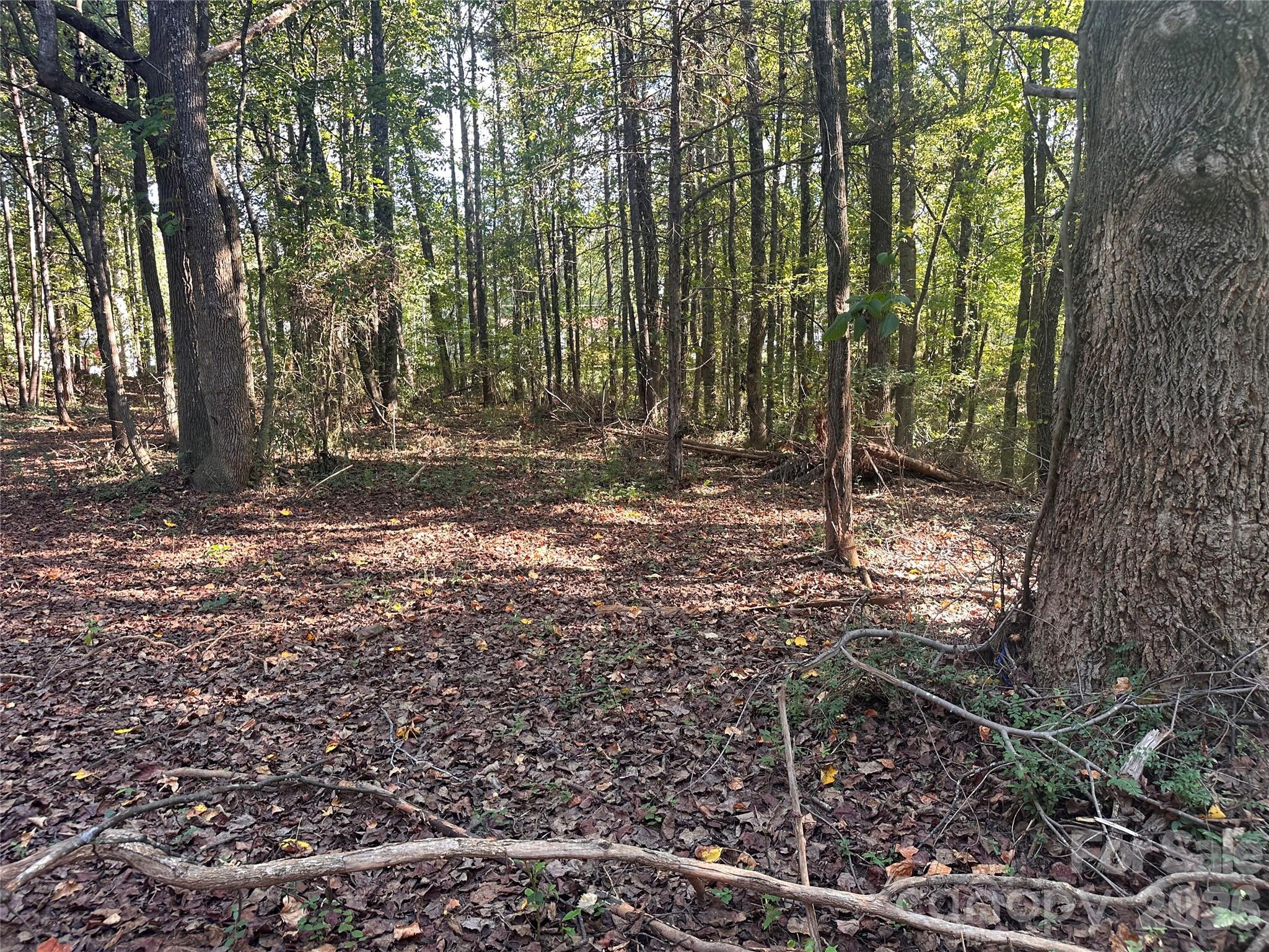 86 Sunrise Trail