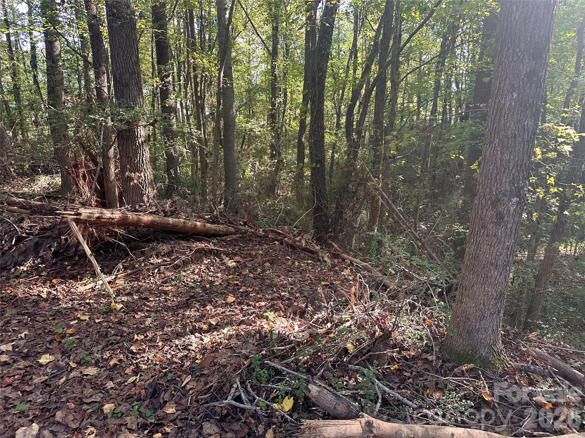 Lot at 86 Sunrise Trail, Lincolnton, photo 2 of 16