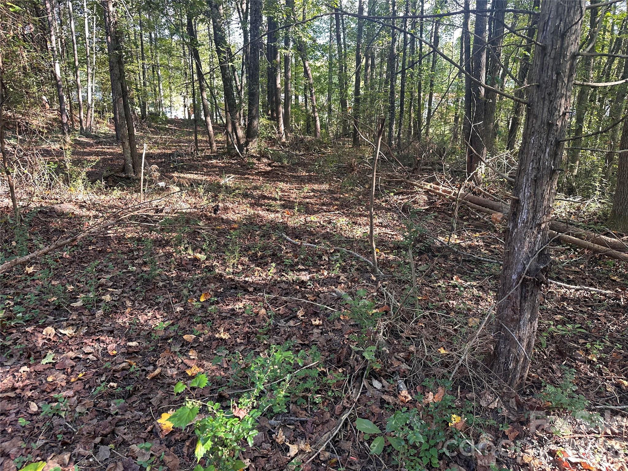 Lot at 86 Sunrise Trail, Lincolnton, photo 3 of 16