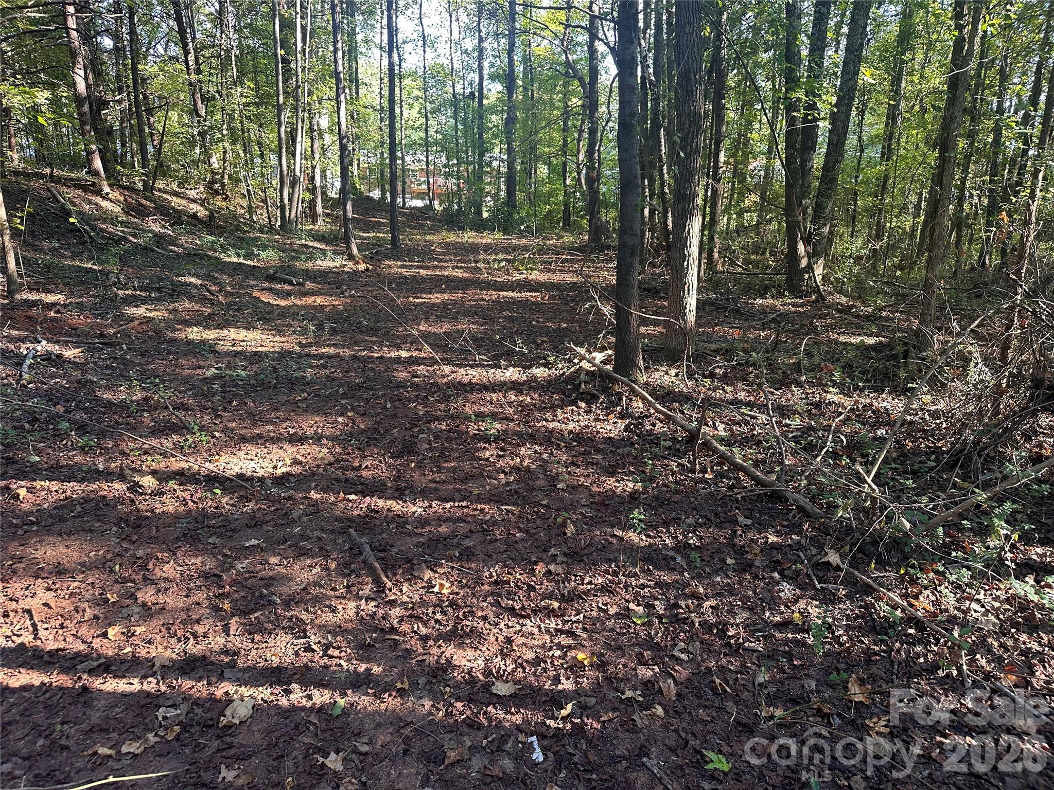 Lot at 86 Sunrise Trail, Lincolnton, photo 4 of 16