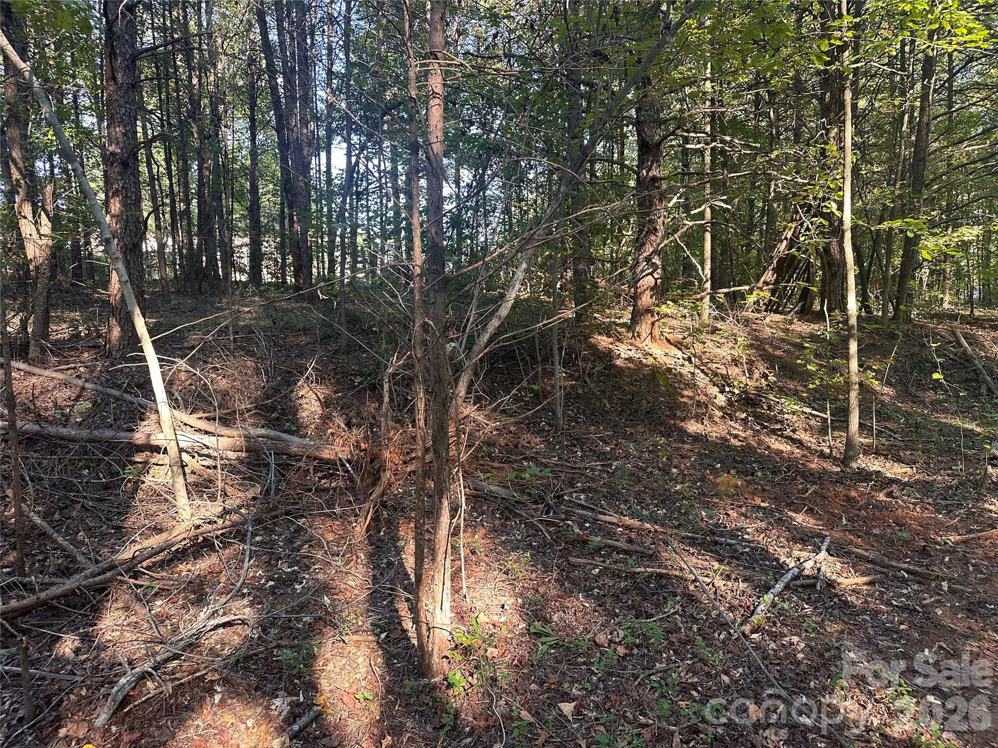 Lot at 86 Sunrise Trail, Lincolnton, photo 5 of 16