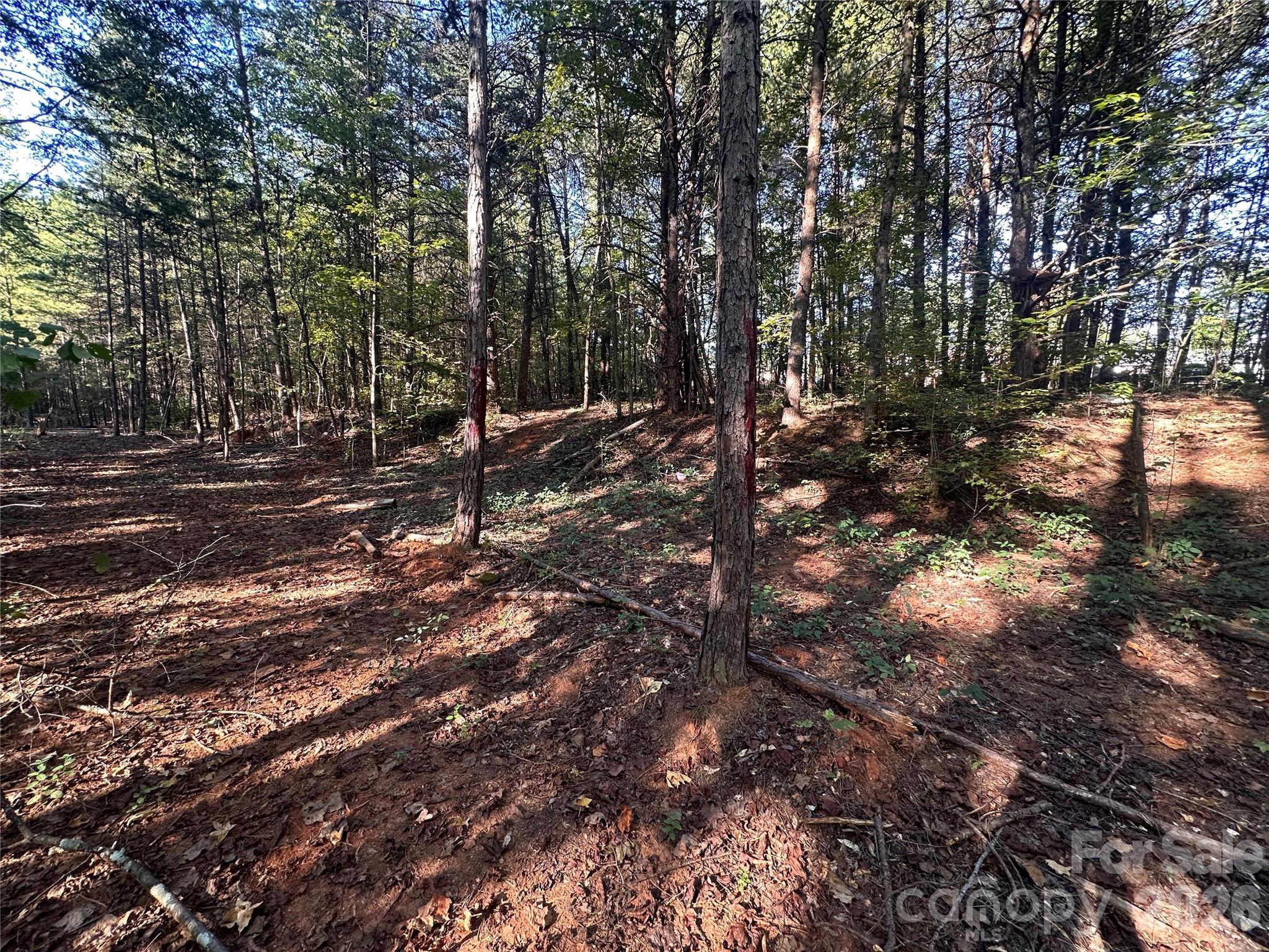 Lot at 86 Sunrise Trail, Lincolnton, photo 8 of 16