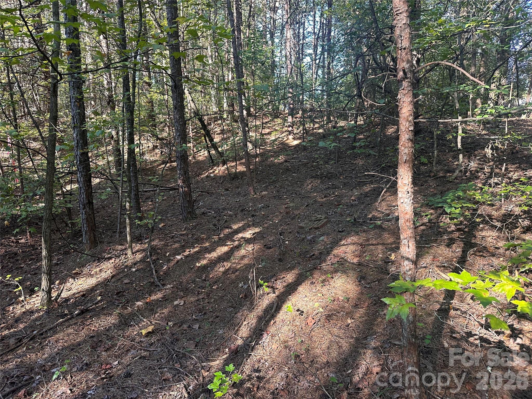 Lot at 86 Sunrise Trail, Lincolnton, photo 9 of 16
