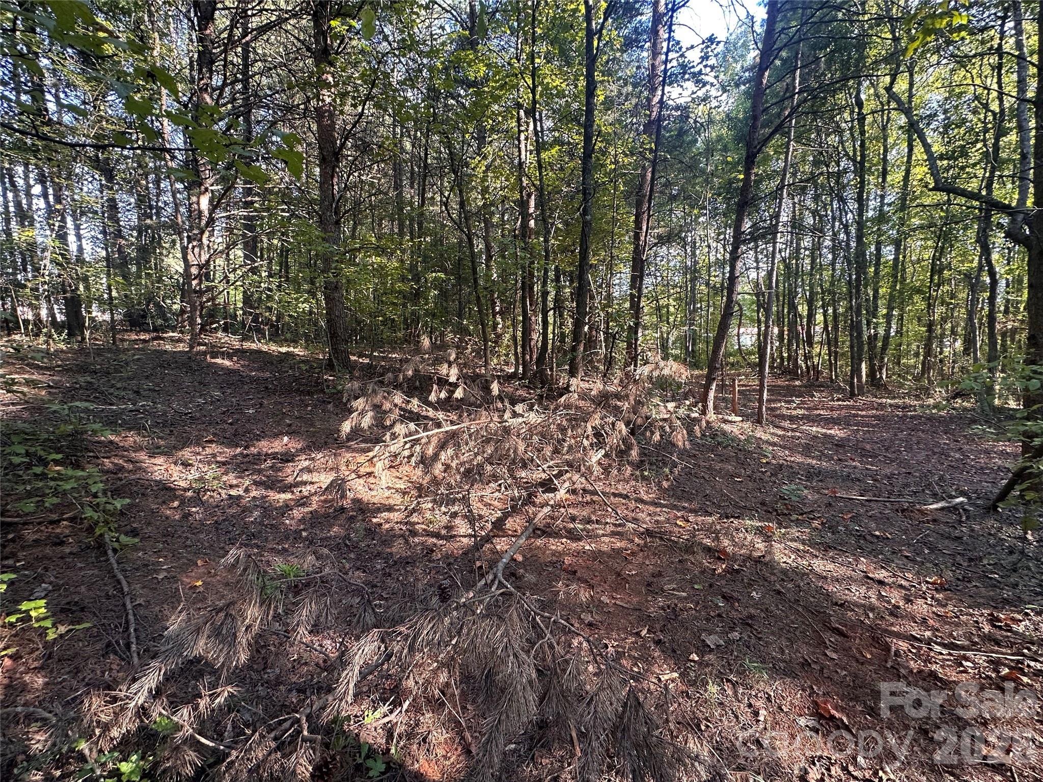 Lot at 86 Sunrise Trail, Lincolnton, photo 10 of 16