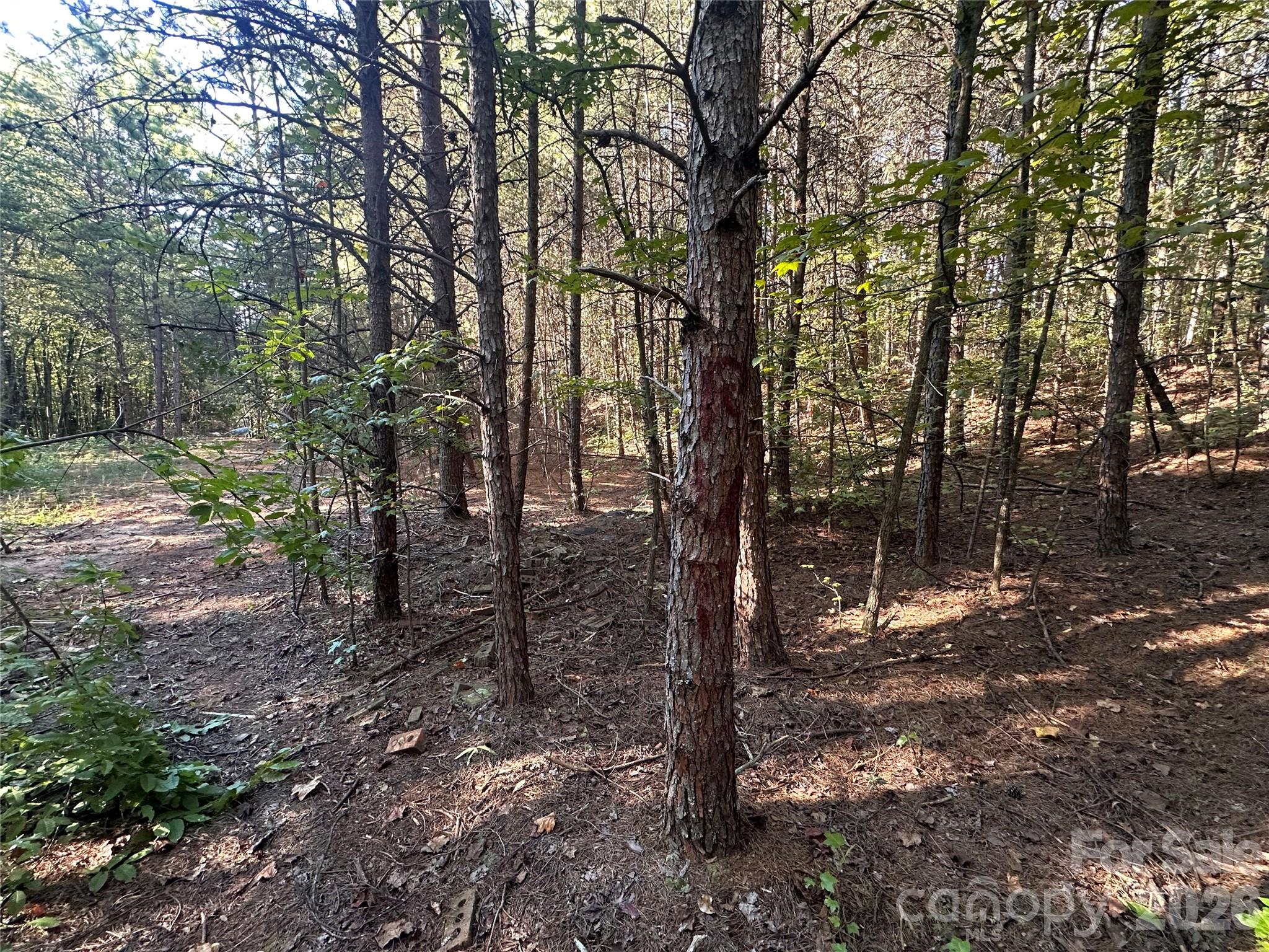 Lot at 86 Sunrise Trail, Lincolnton, photo 11 of 16