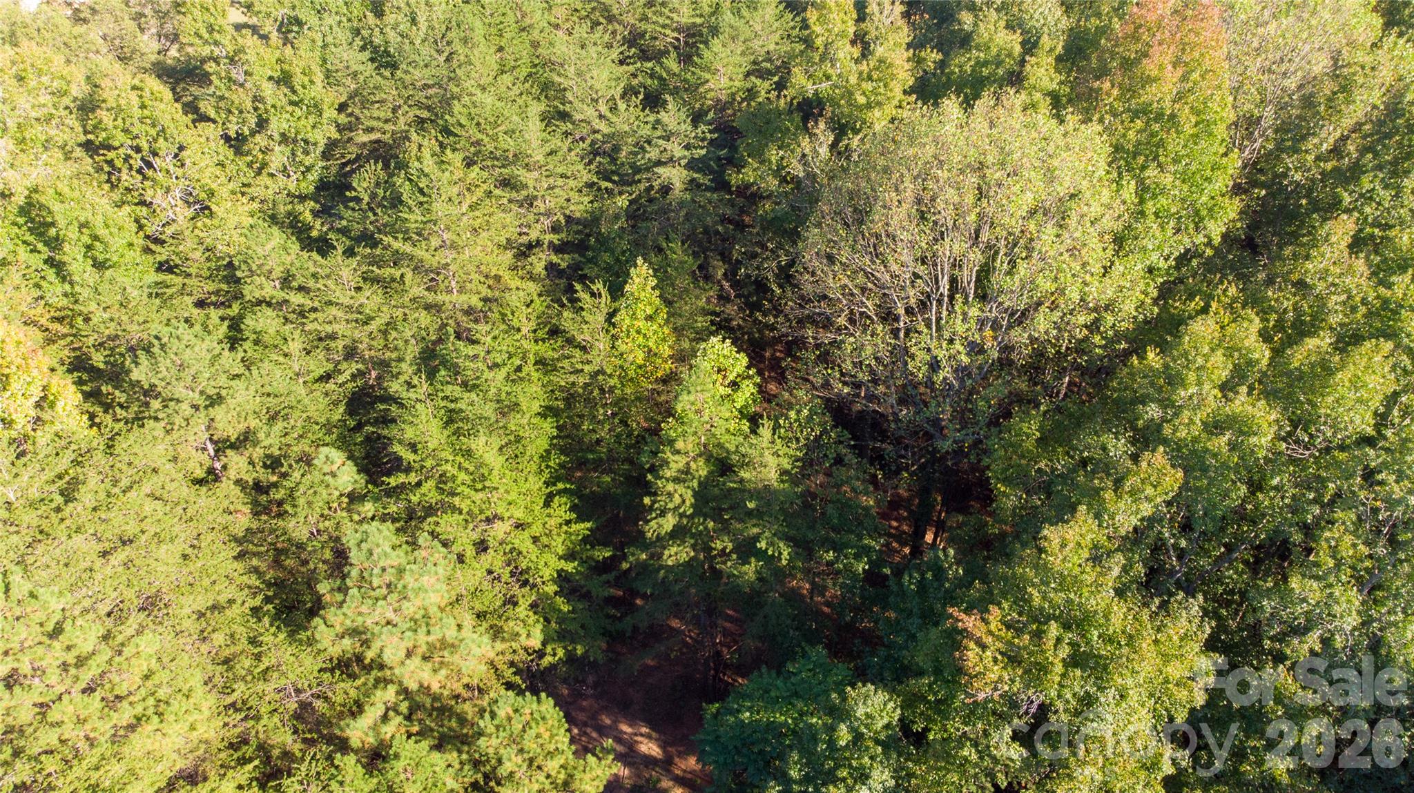 Lot at 86 Sunrise Trail, Lincolnton, photo 13 of 16