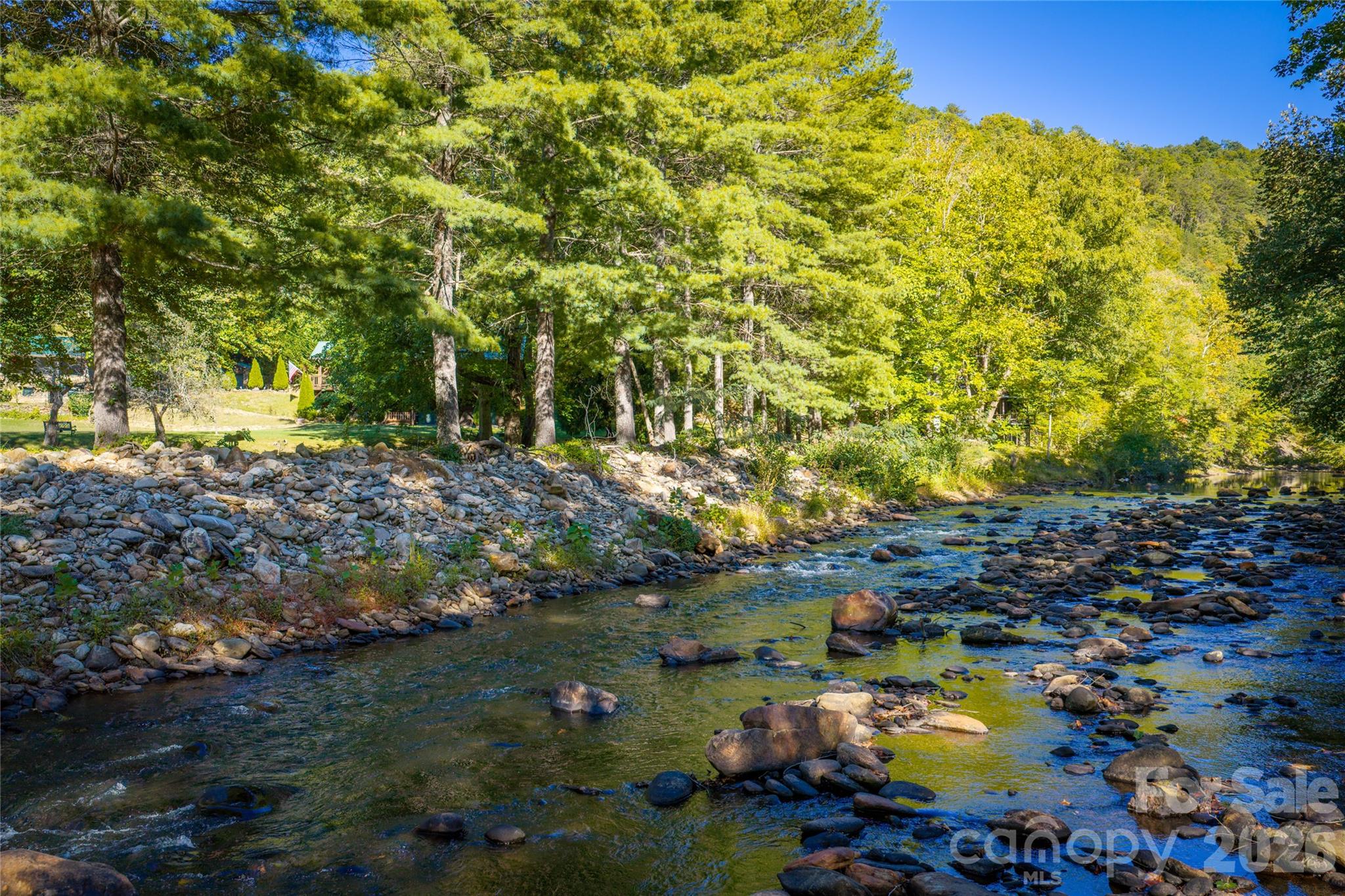 Bold West Fork with HOA waterfront park area along the river. - 28 Froggy Bottom Trail, Canton