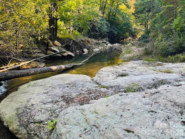 Acreage at TBD Jane Lane, Hendersonville, photo 37 of 41
