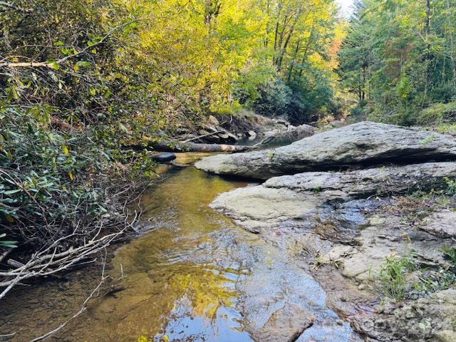 Acreage at TBD Jane Lane, Hendersonville, photo 38 of 41