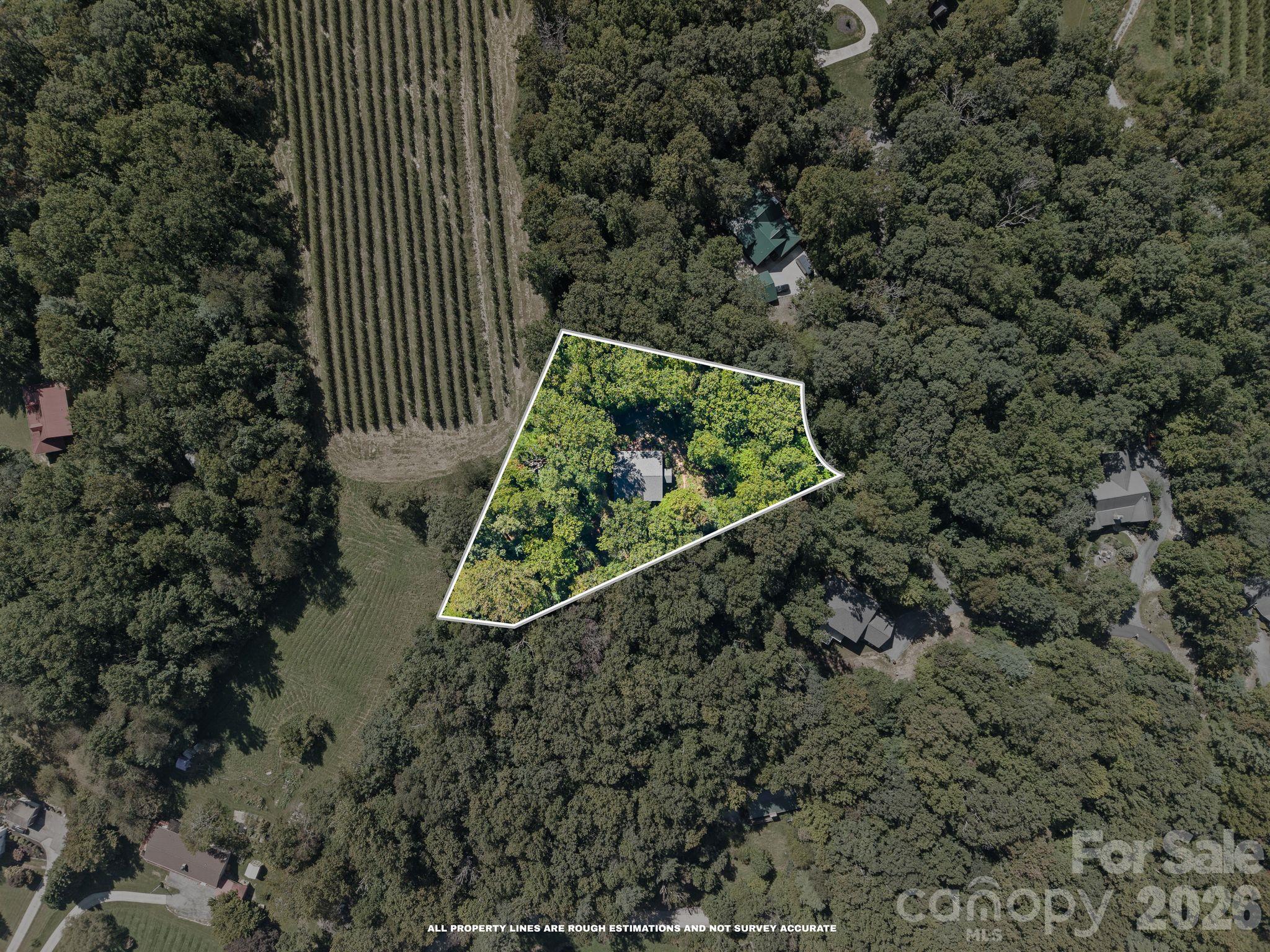 1.68 private, wooded acres - 179 Woodlyn Etch Drive, Hendersonville