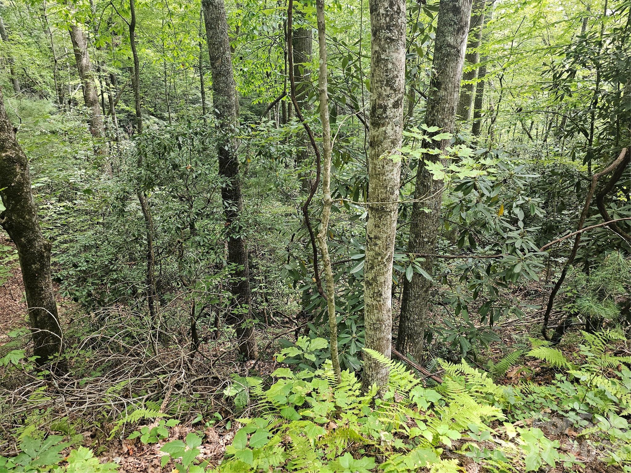 Lot at 99999 Majestic Trace, Hendersonville, photo 17 of 51