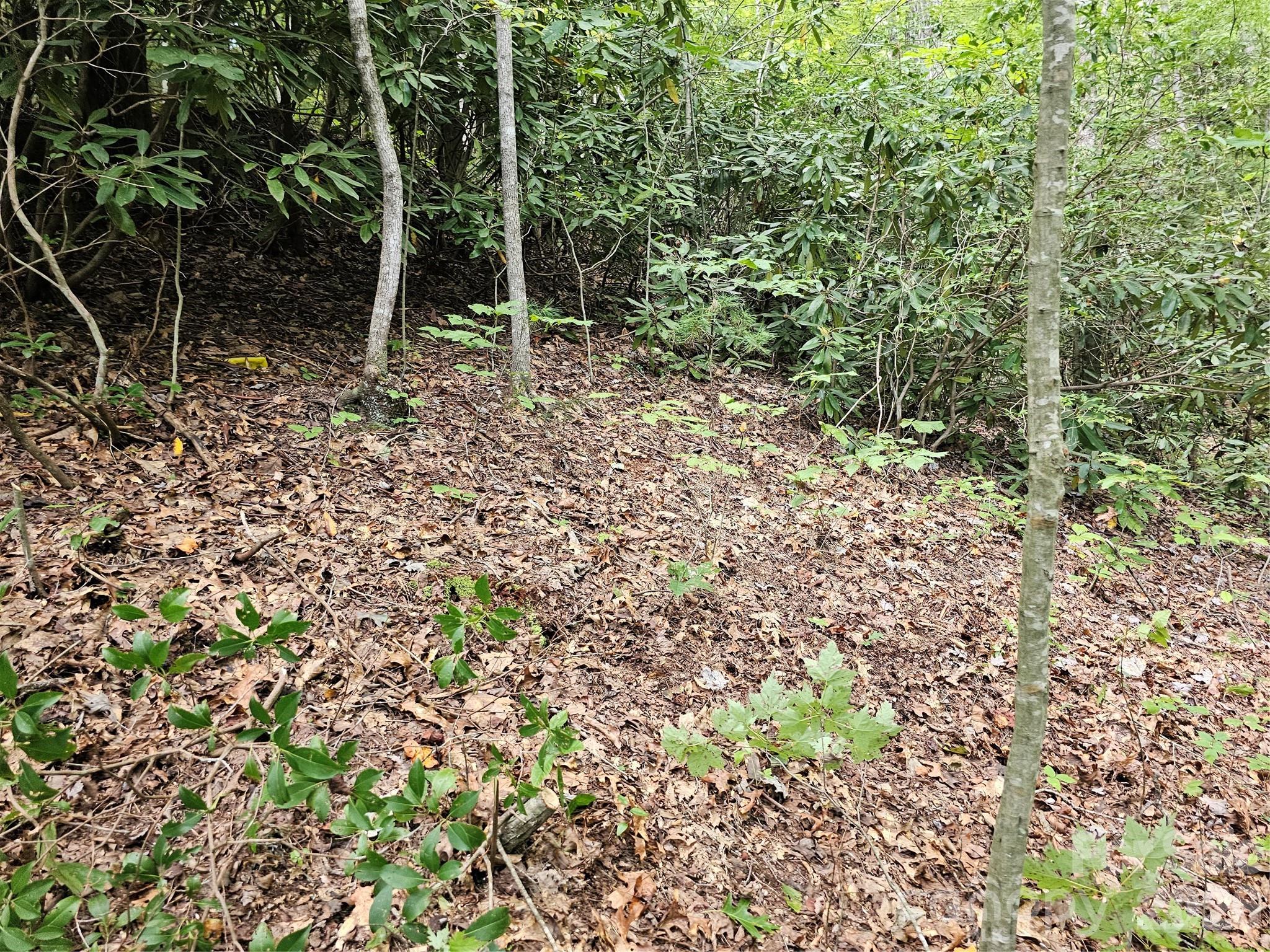 Lot at 99999 Majestic Trace, Hendersonville, photo 7 of 51