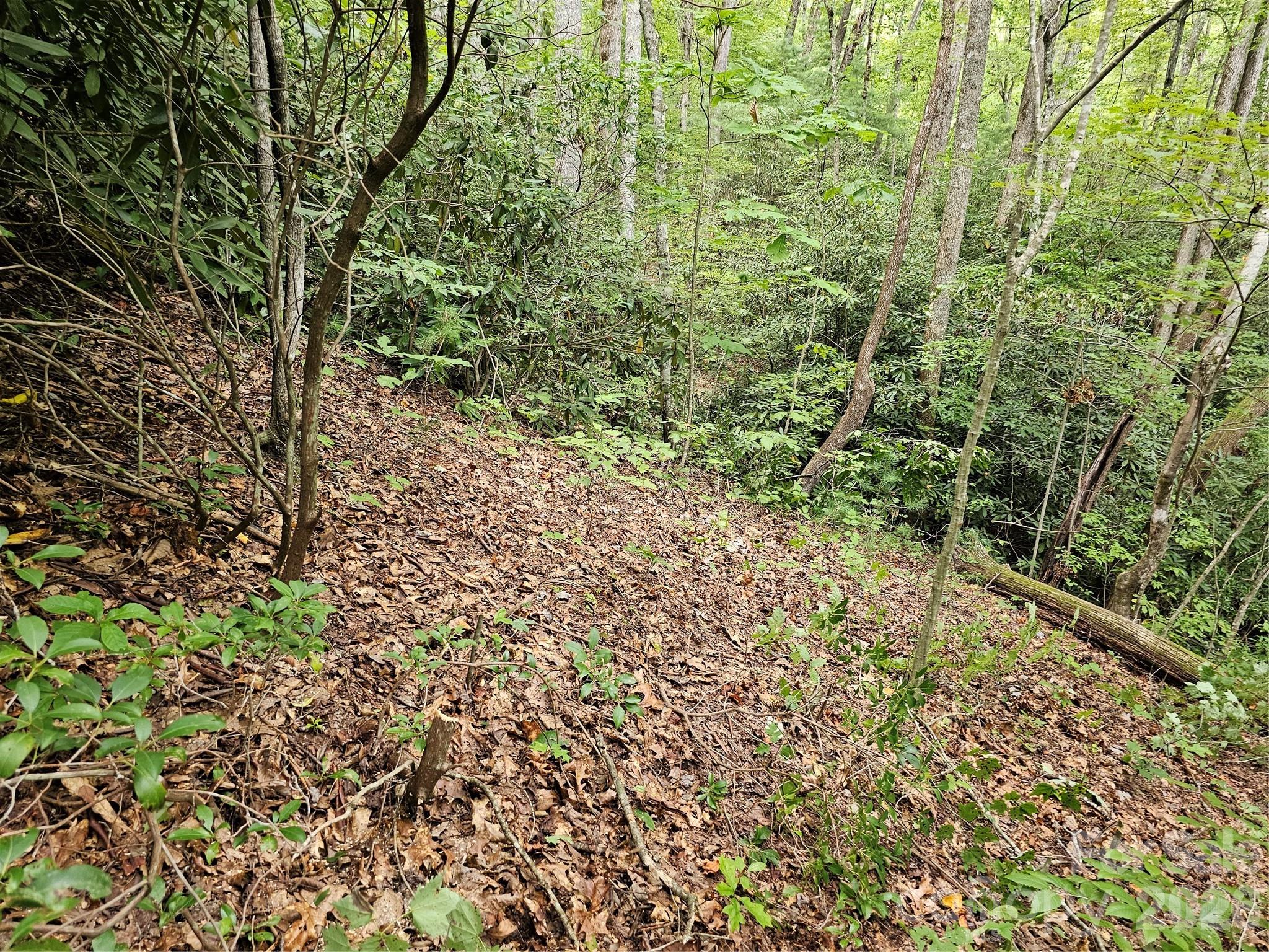 Lot at 99999 Majestic Trace, Hendersonville, photo 9 of 51