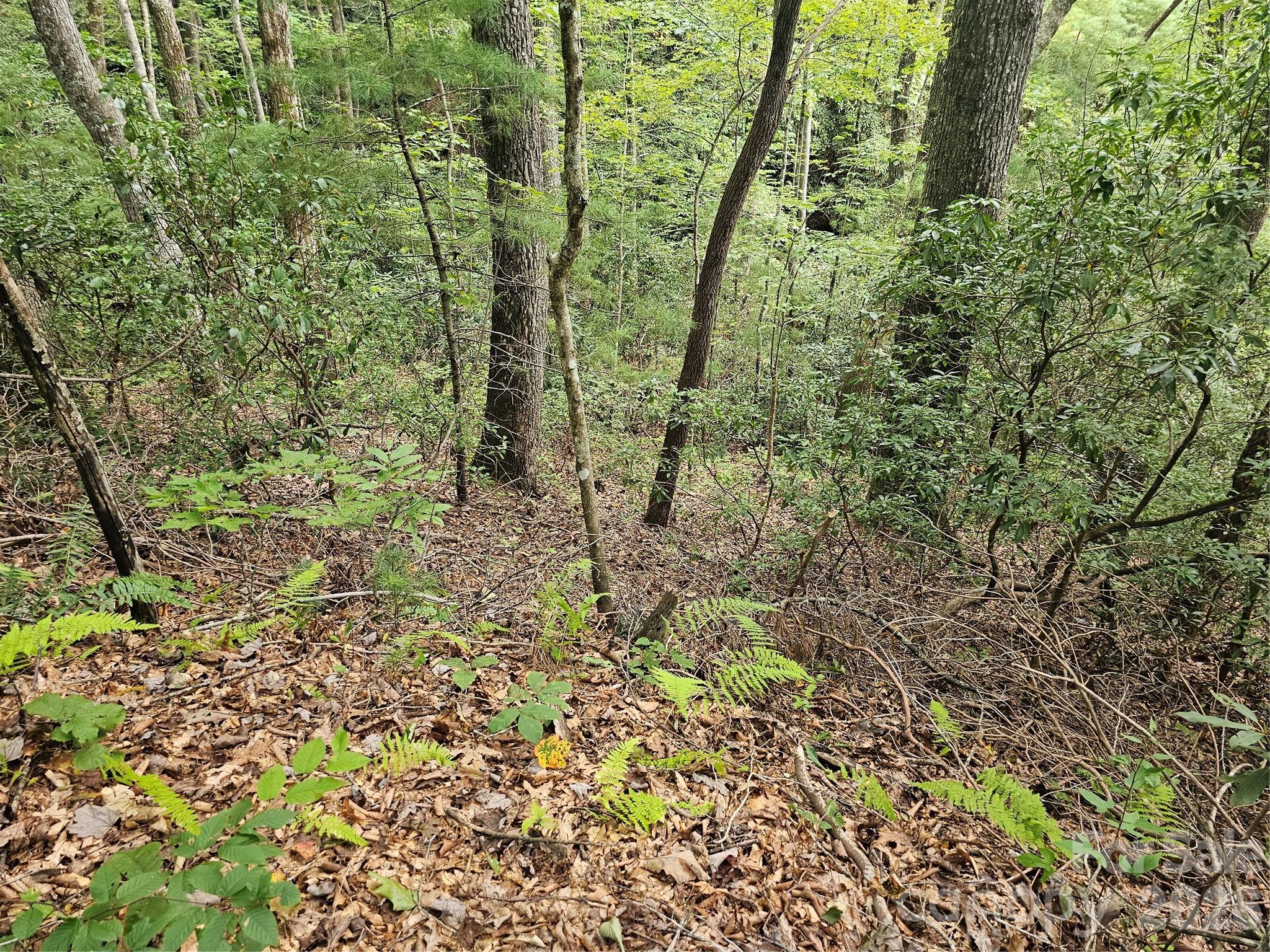 Lot at 99999 Majestic Trace, Hendersonville, photo 11 of 51