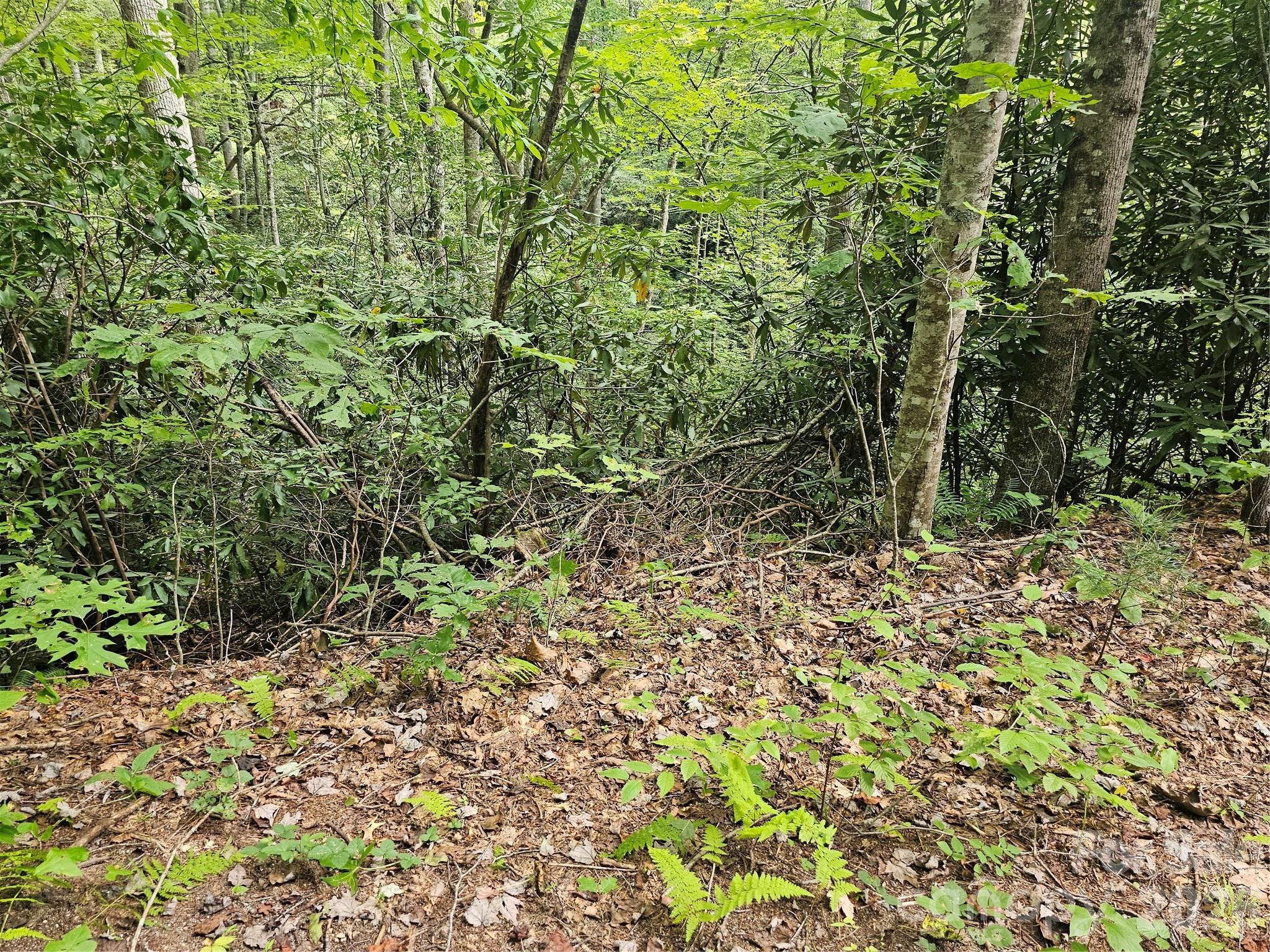 Lot at 99999 Majestic Trace, Hendersonville, photo 13 of 51