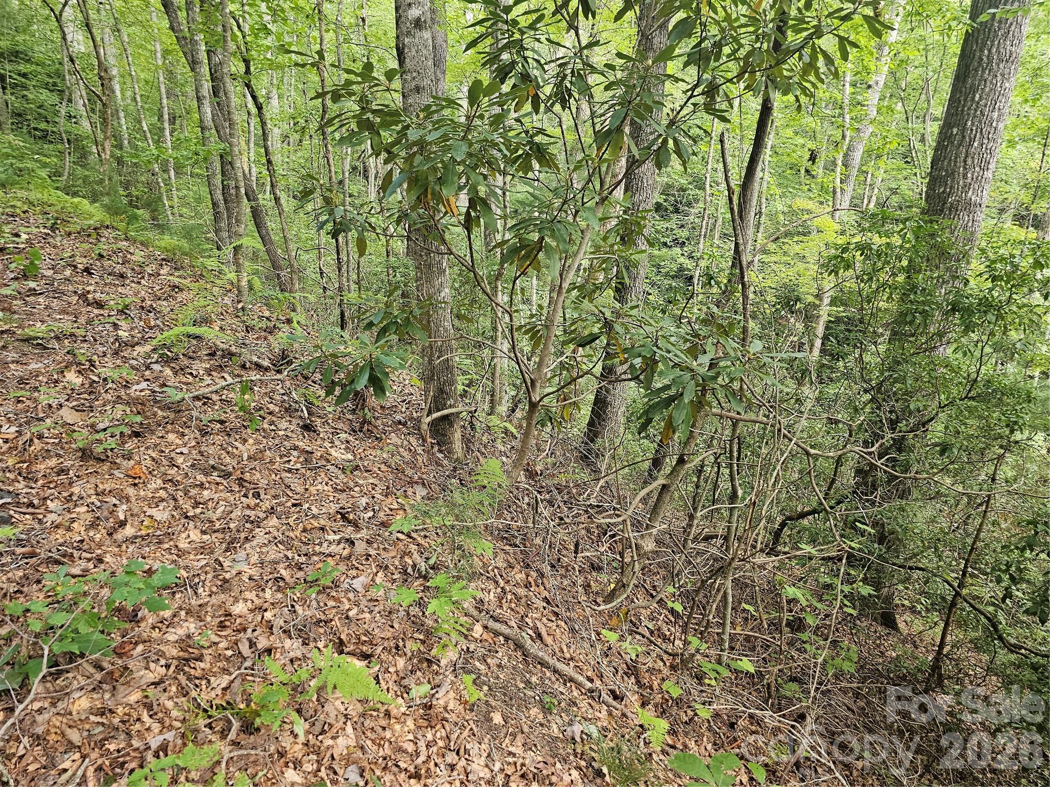 Lot at 99999 Majestic Trace, Hendersonville, photo 14 of 51