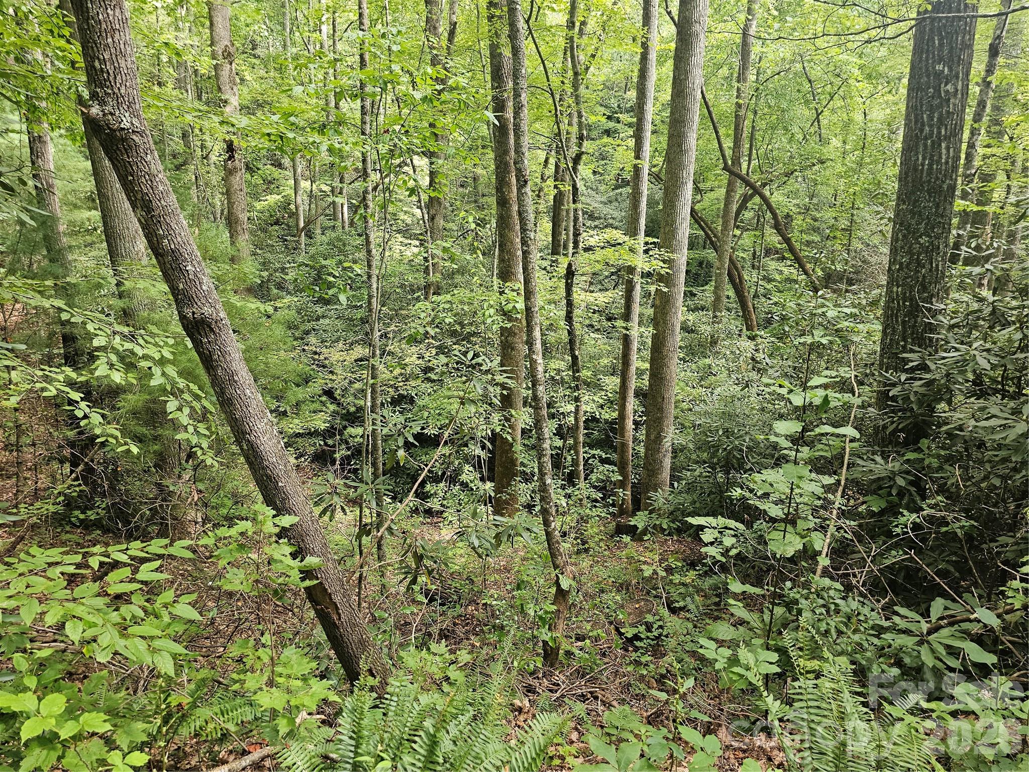 Lot at 99999 Majestic Trace, Hendersonville, photo 6 of 51