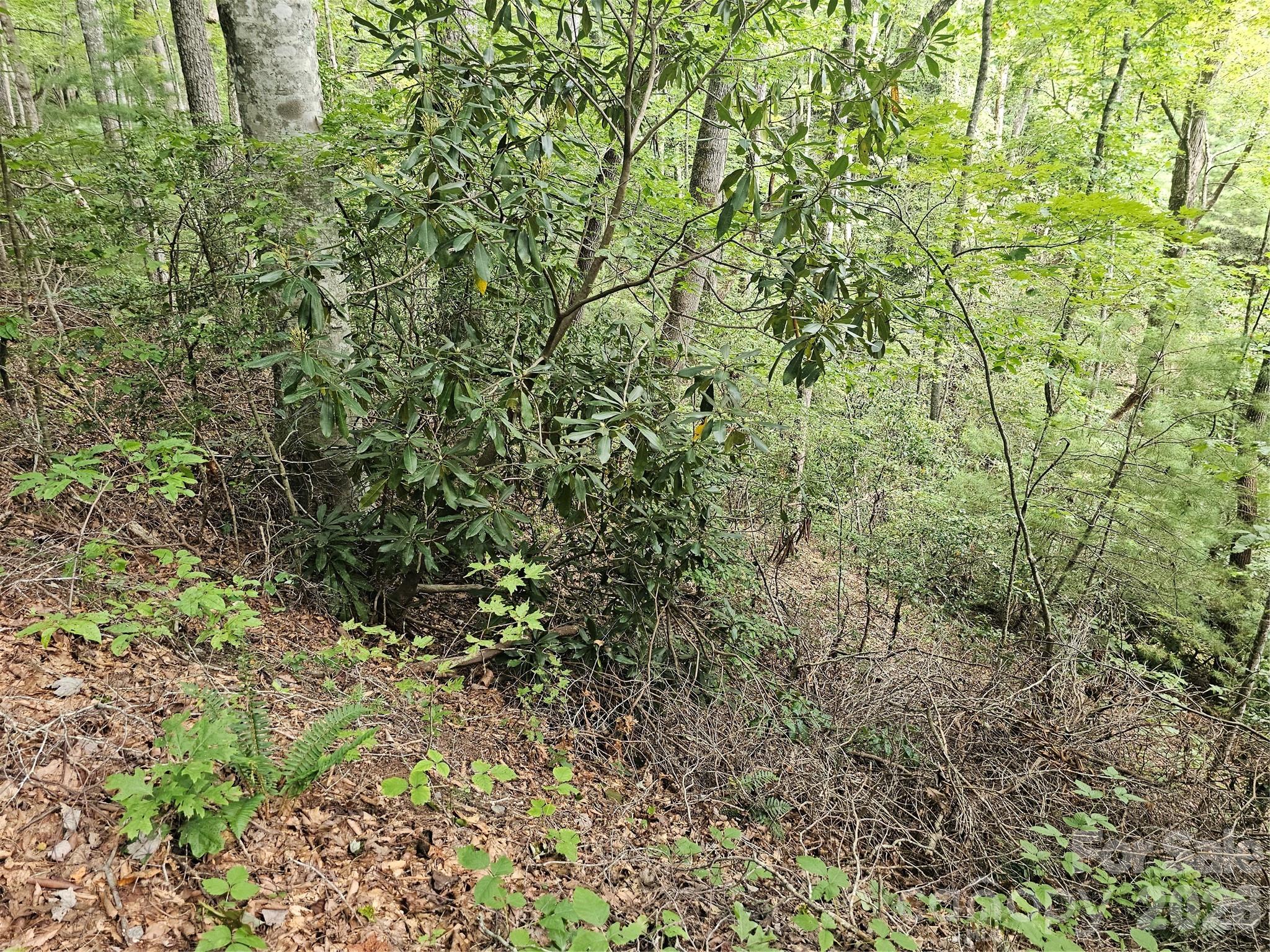 Lot at 99999 Majestic Trace, Hendersonville, photo 15 of 51