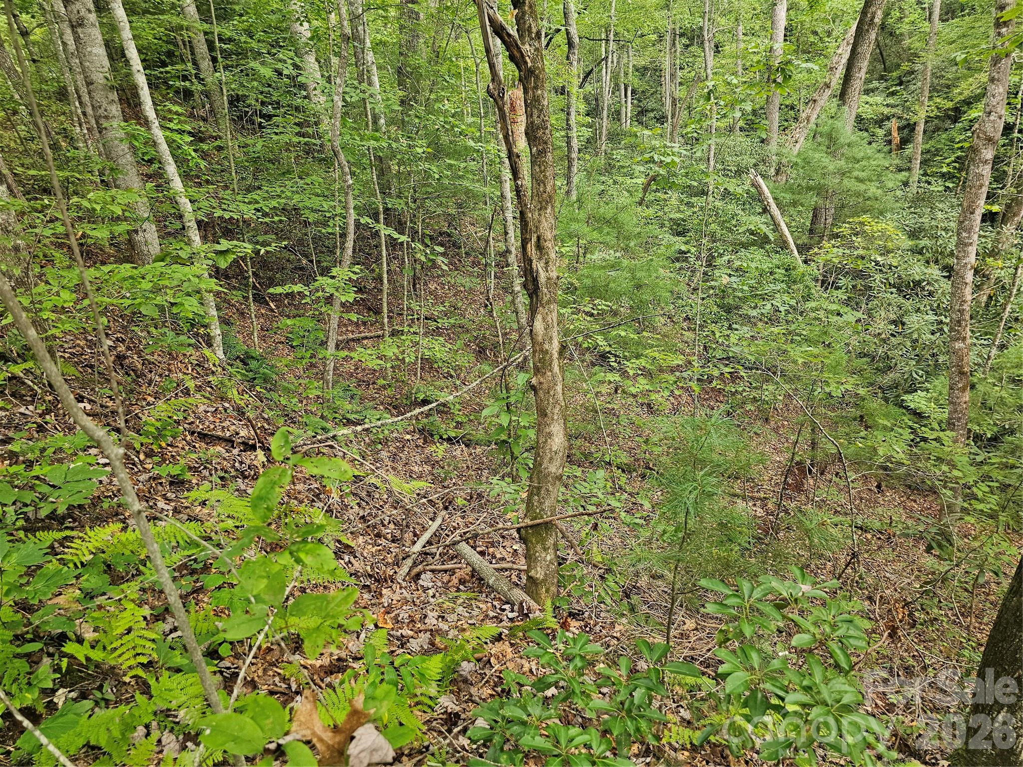 Lot at 99999 Majestic Trace, Hendersonville, photo 16 of 51