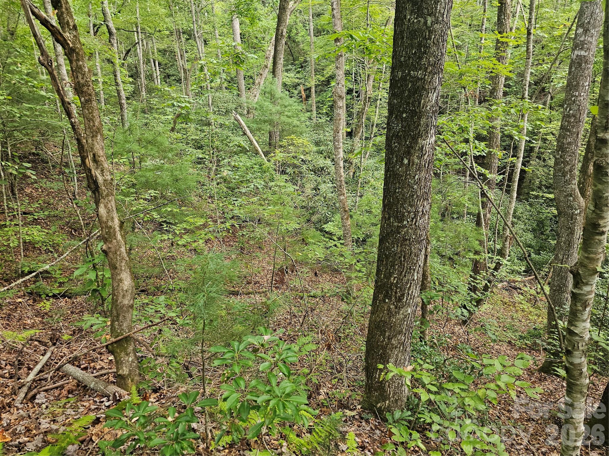 Lot at 99999 Majestic Trace, Hendersonville, photo 18 of 51