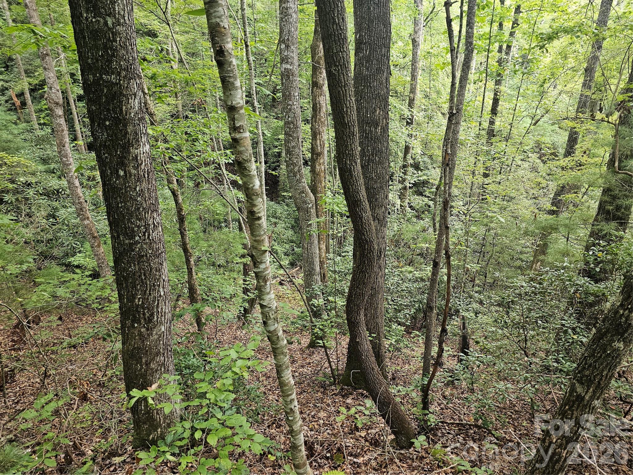 Lot at 99999 Majestic Trace, Hendersonville, photo 19 of 51