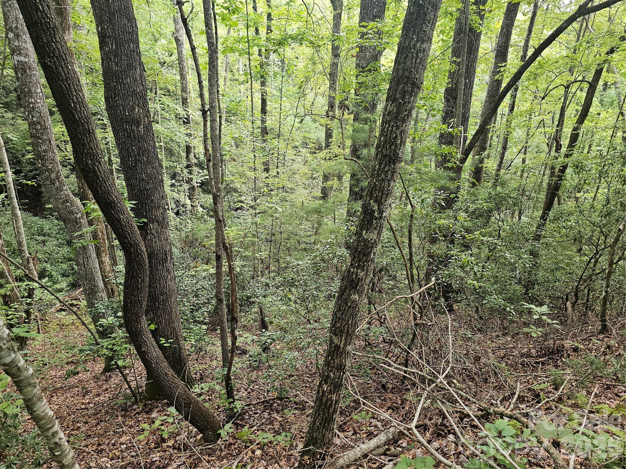 Lot at 99999 Majestic Trace, Hendersonville, photo 20 of 51