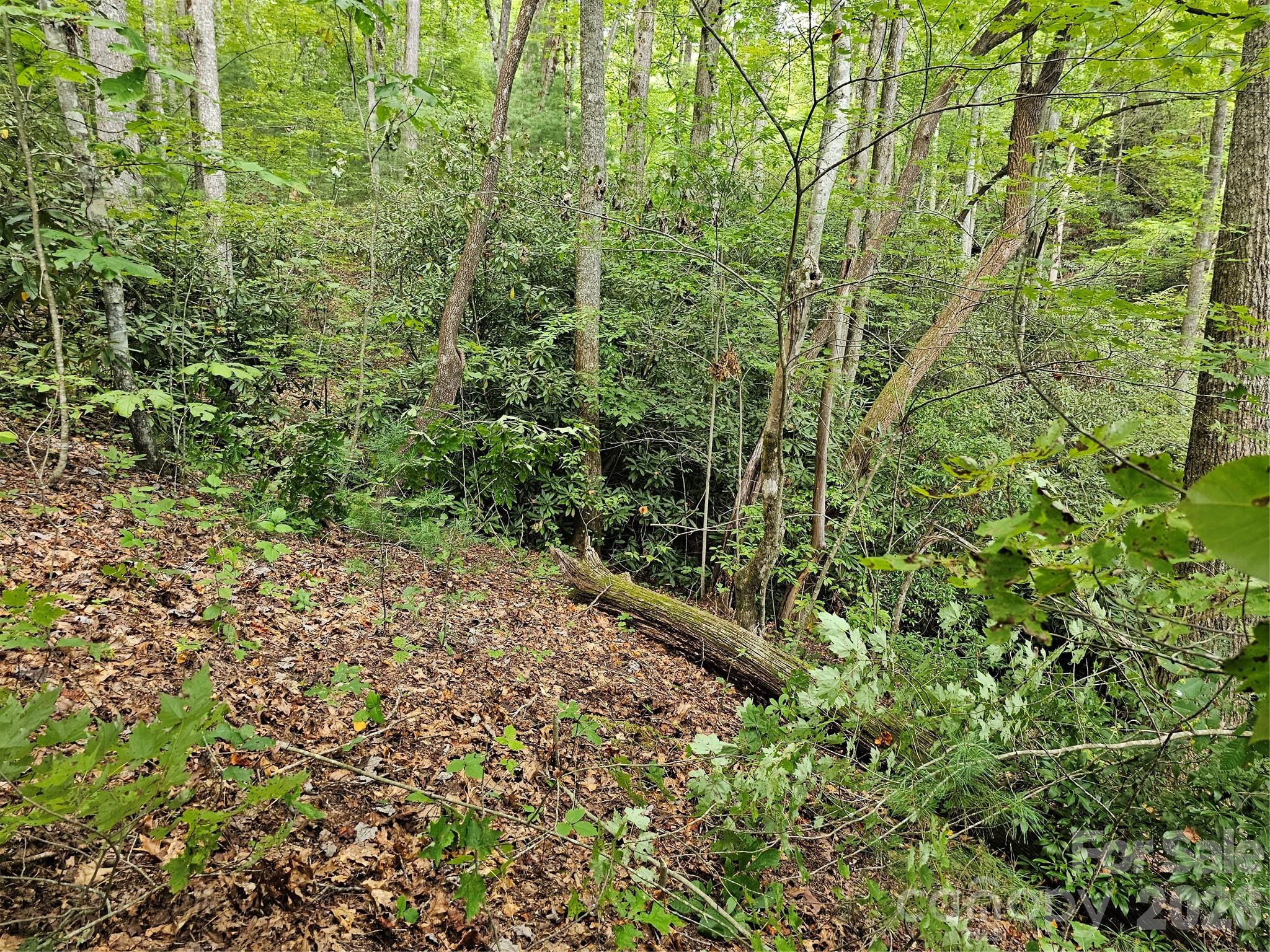 Lot at 99999 Majestic Trace, Hendersonville, photo 21 of 51
