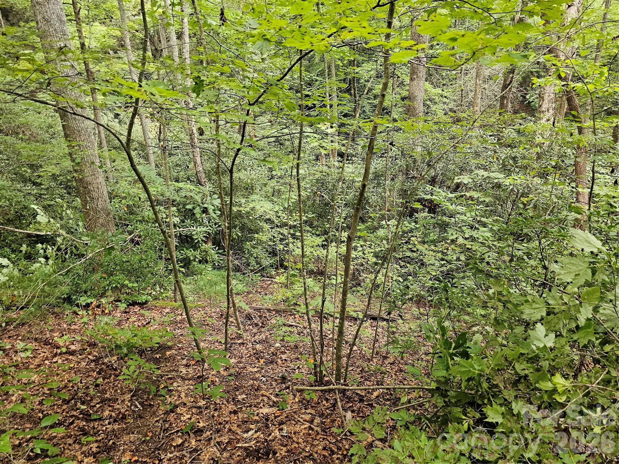 Lot at 99999 Majestic Trace, Hendersonville, photo 22 of 51