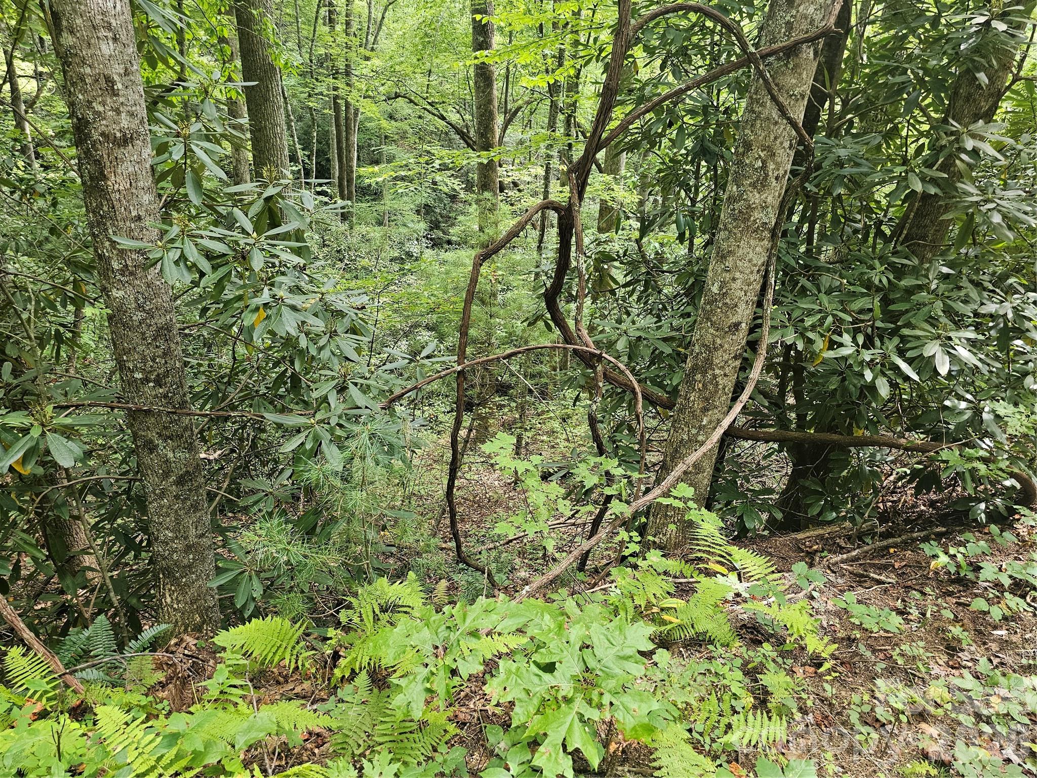 Lot at 99999 Majestic Trace, Hendersonville, photo 23 of 51