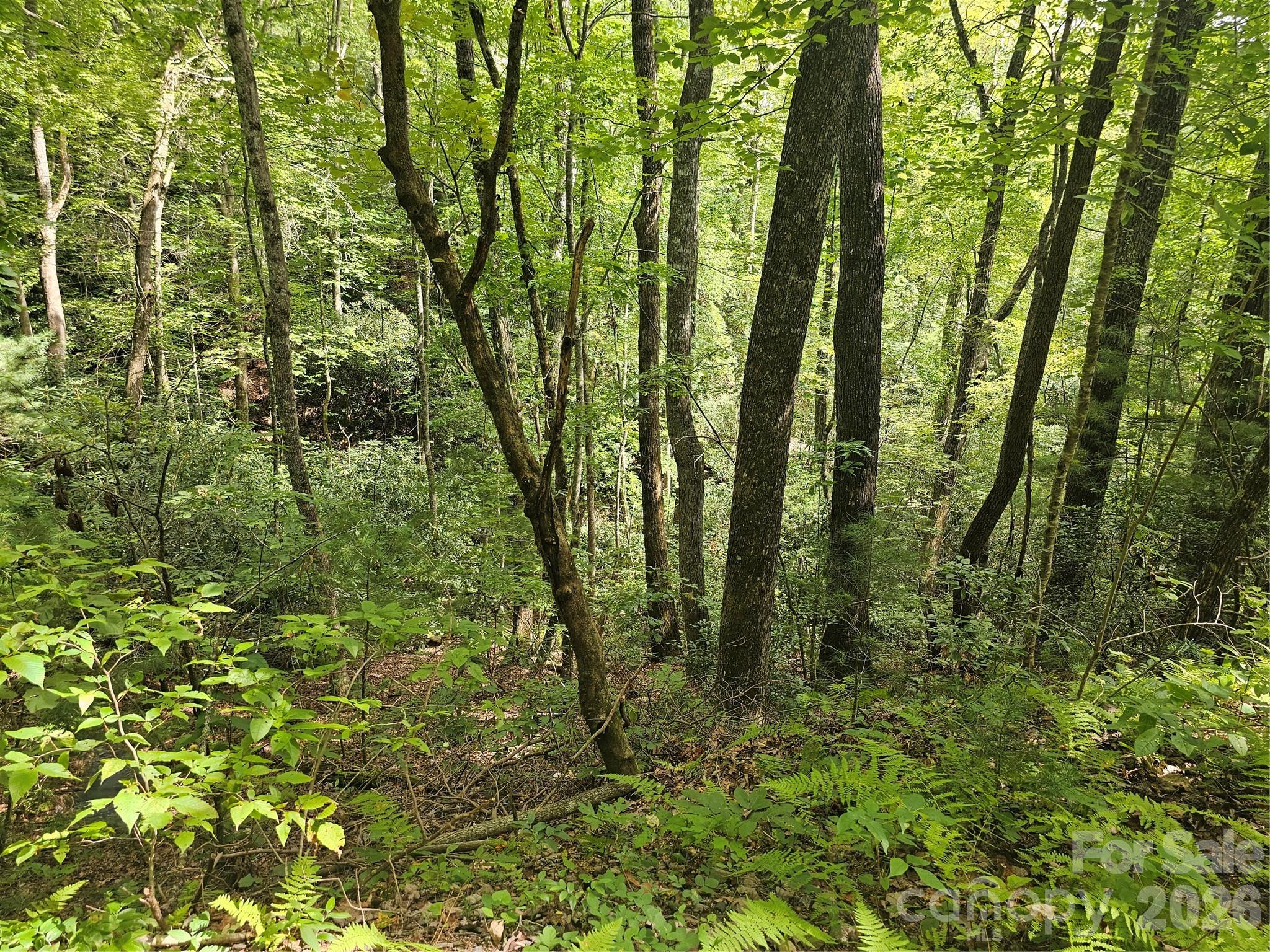 Lot at 99999 Majestic Trace, Hendersonville, photo 25 of 51