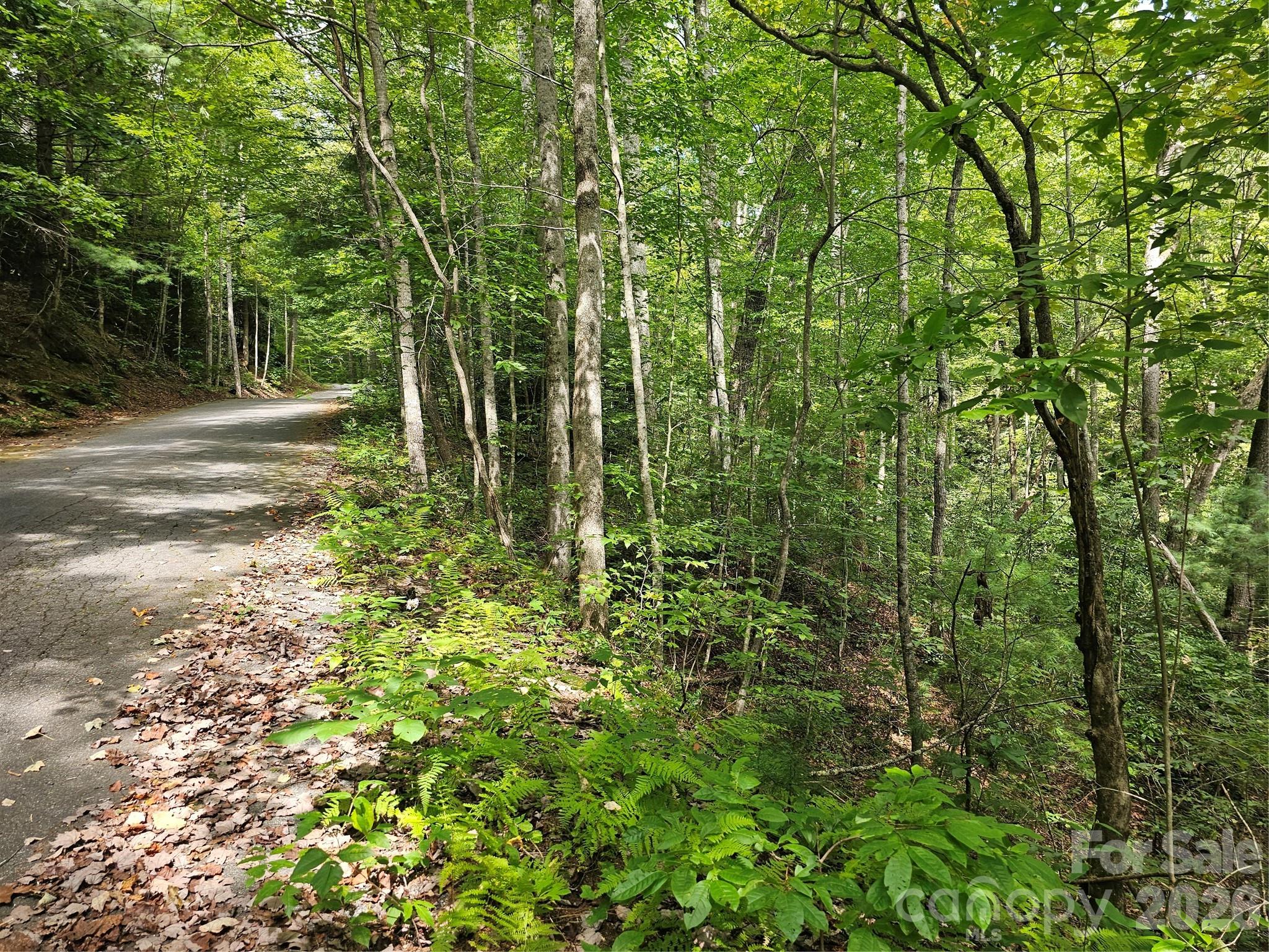 Lot at 99999 Majestic Trace, Hendersonville, photo 4 of 51