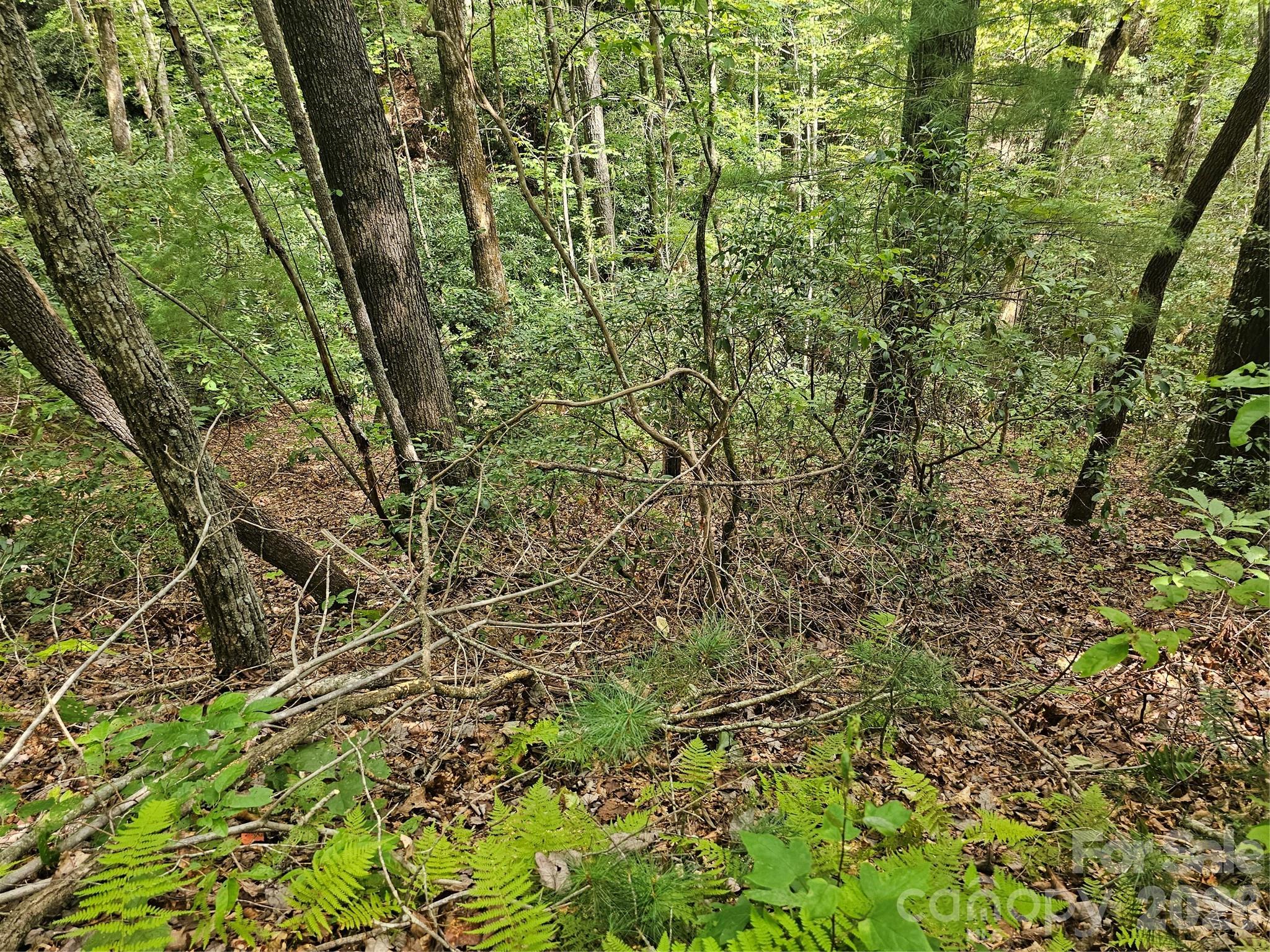 Lot at 99999 Majestic Trace, Hendersonville, photo 26 of 51