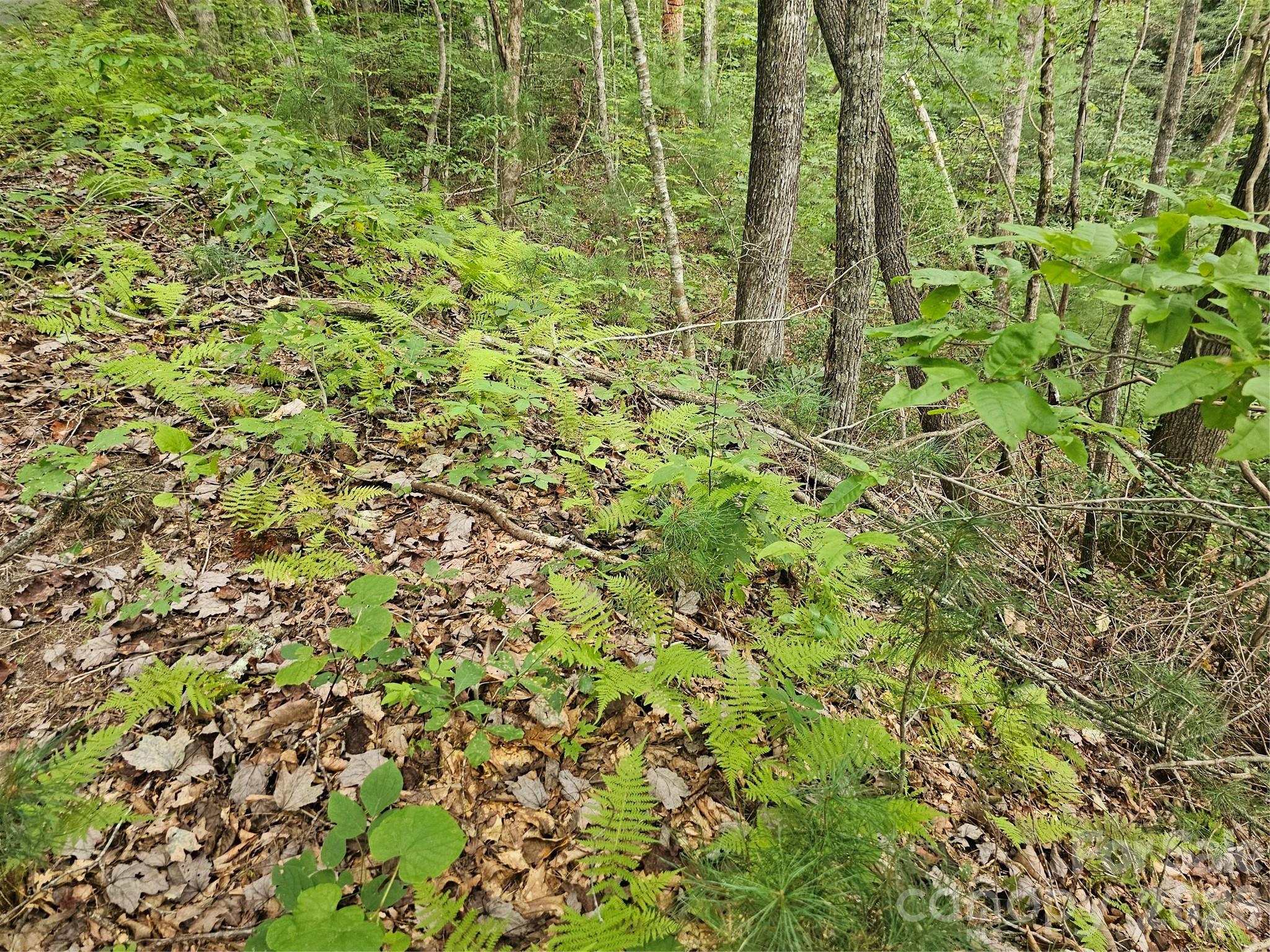 Lot at 99999 Majestic Trace, Hendersonville, photo 27 of 51